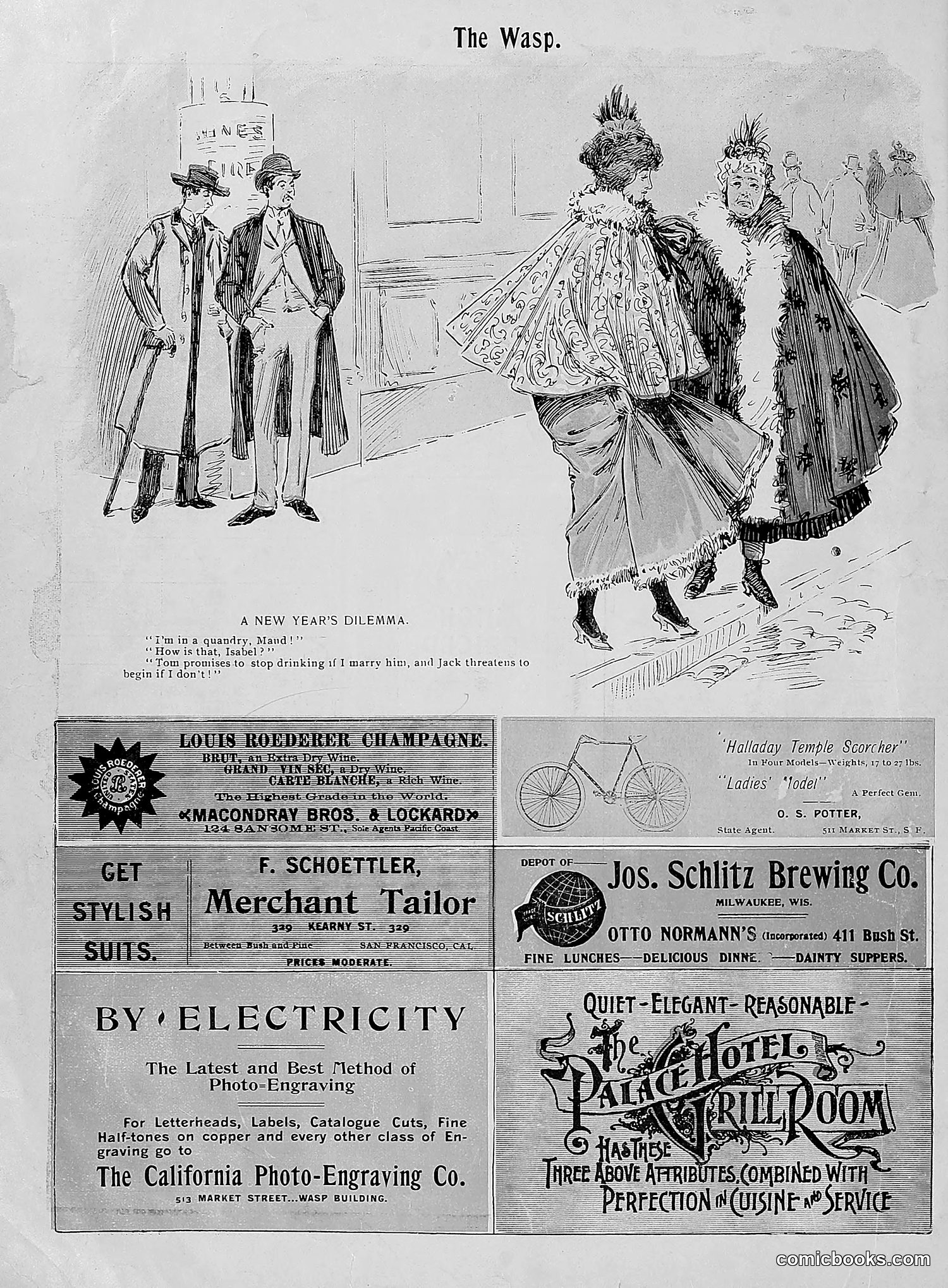 The Wasp — 1896 — page 29 of 1082