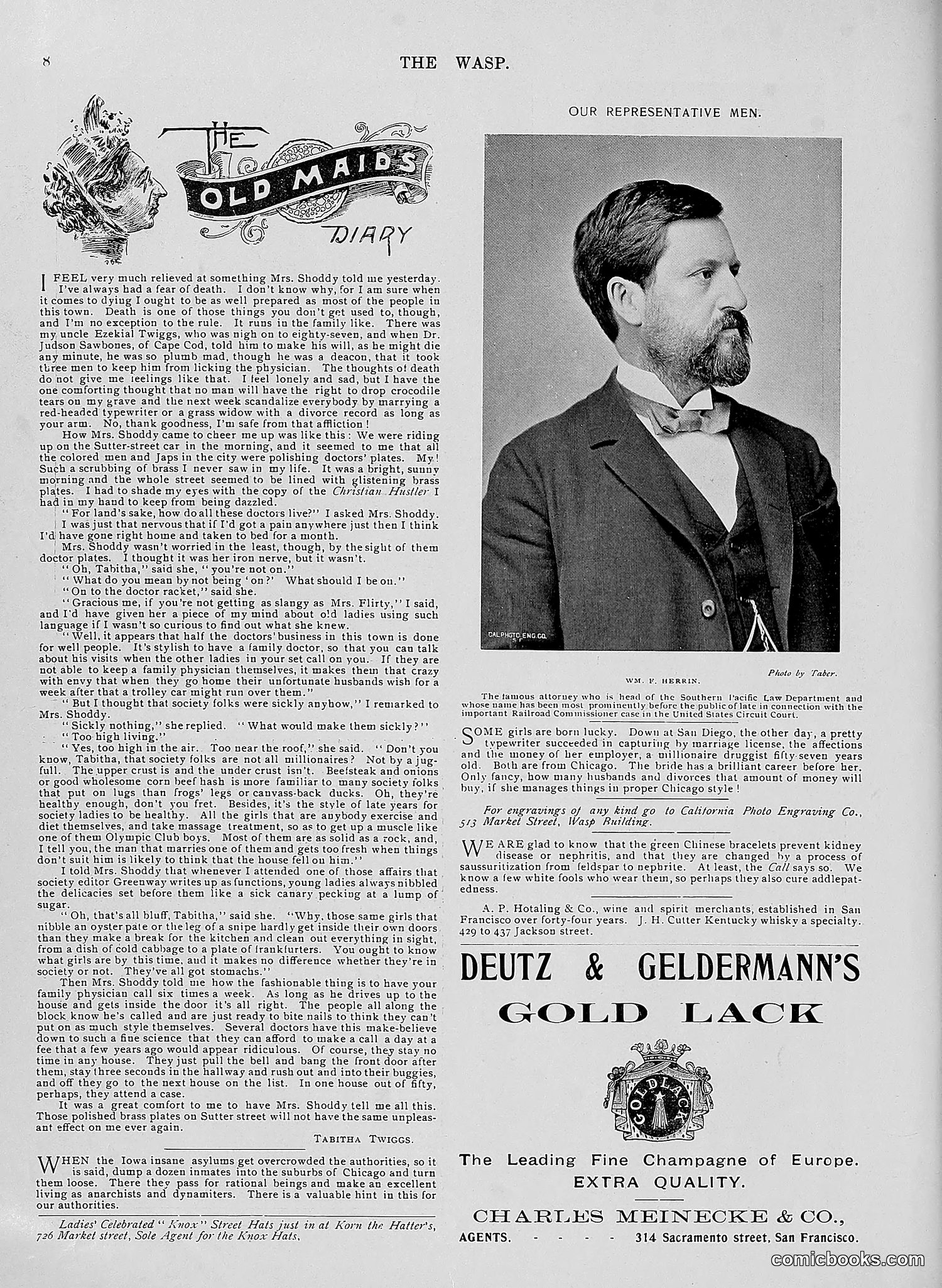 The Wasp — 1896 — page 281 of 1082