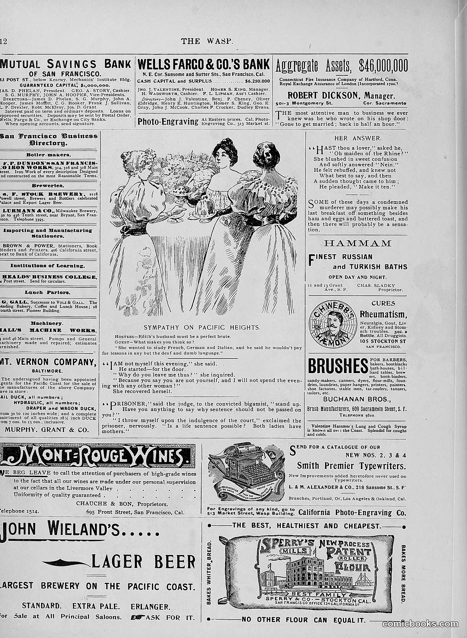 The Wasp — 1896 — page 285 of 1082