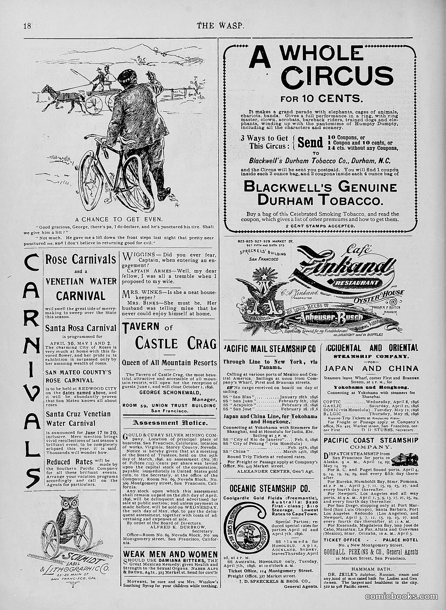 The Wasp — 1896 — page 291 of 1082
