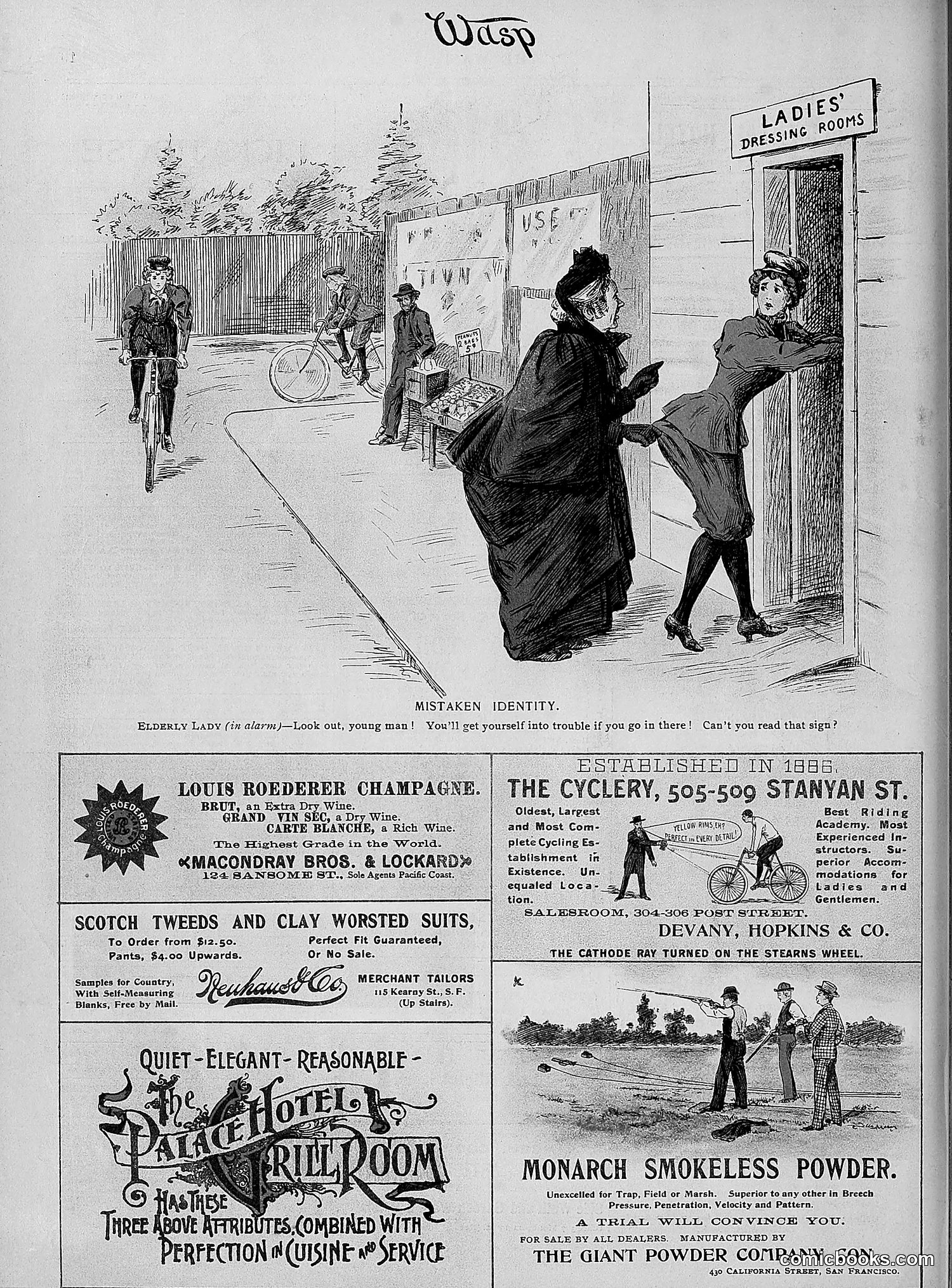 The Wasp — 1896 — page 293 of 1082