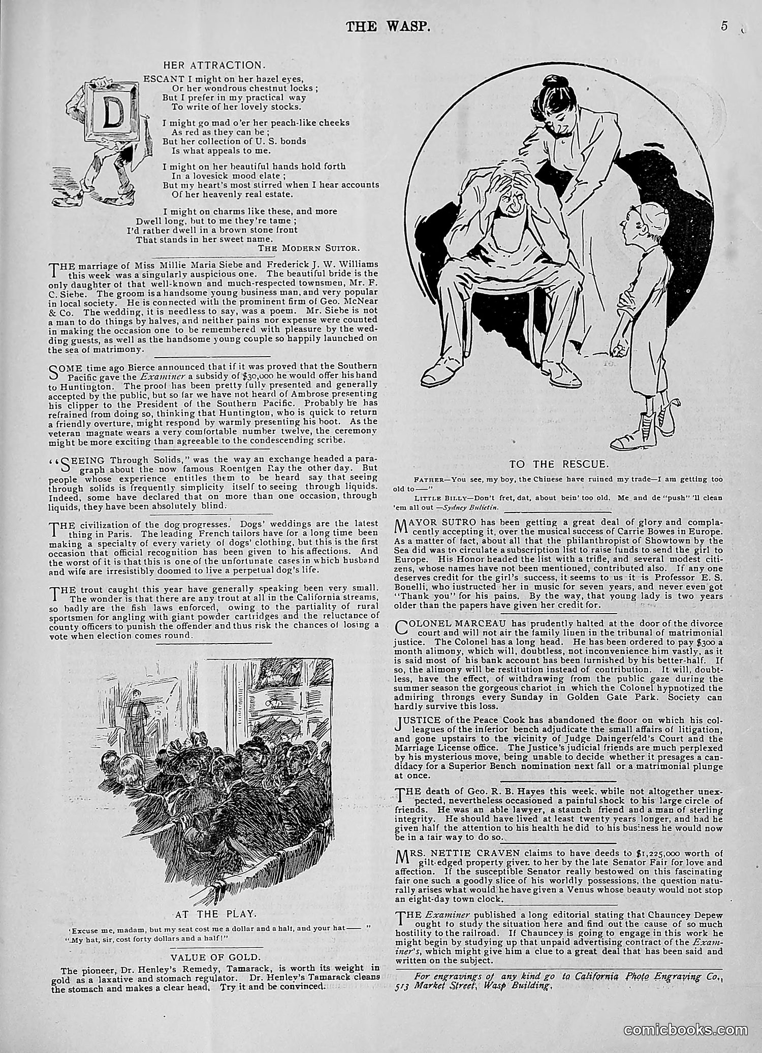 The Wasp — 1896 — page 298 of 1082