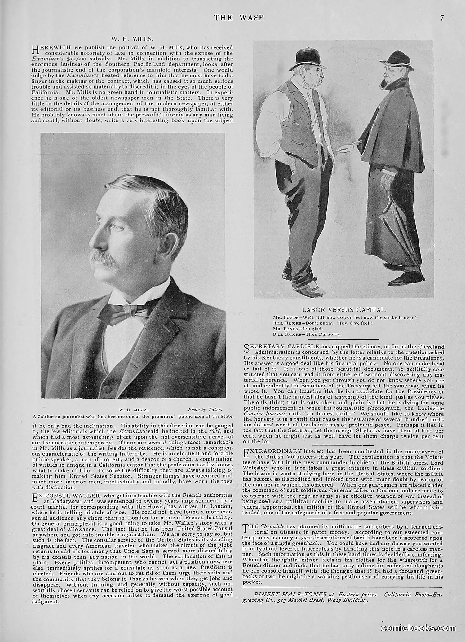 The Wasp — 1896 — page 300 of 1082