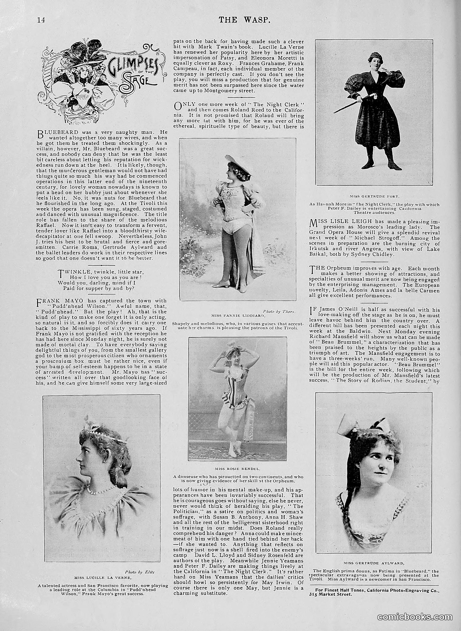 The Wasp — 1896 — page 307 of 1082