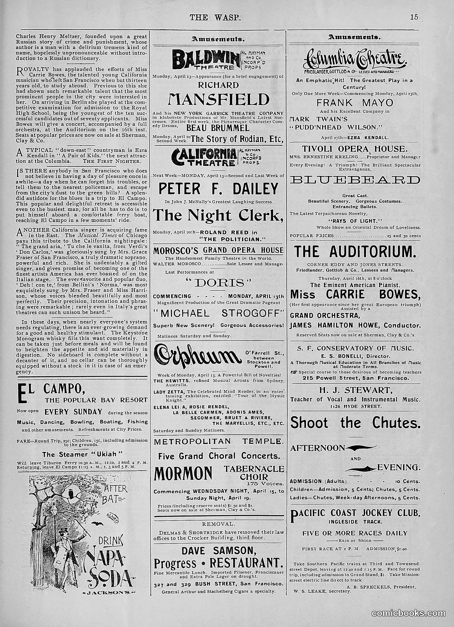 The Wasp — 1896 — page 308 of 1082