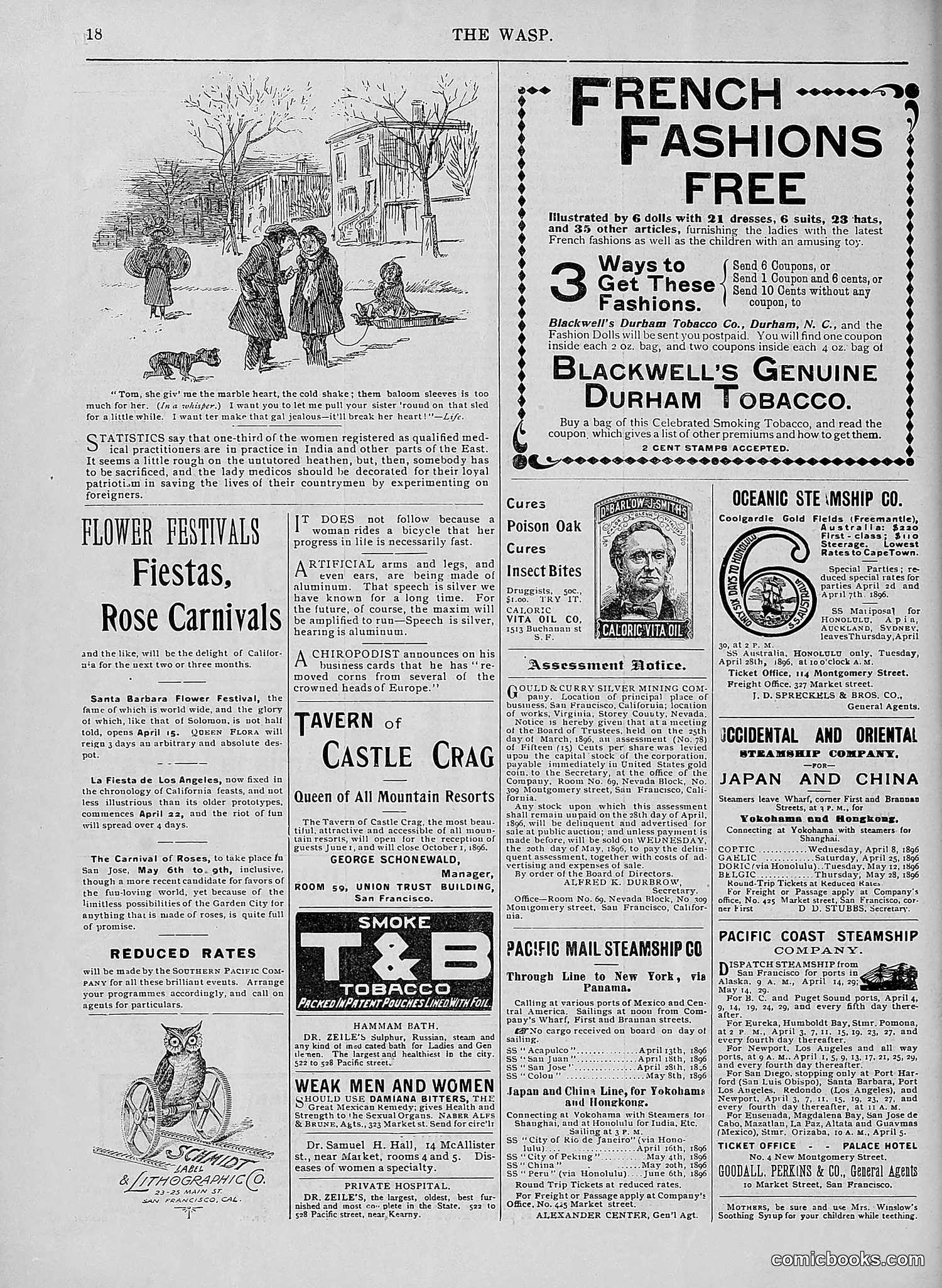 The Wasp — 1896 — page 311 of 1082