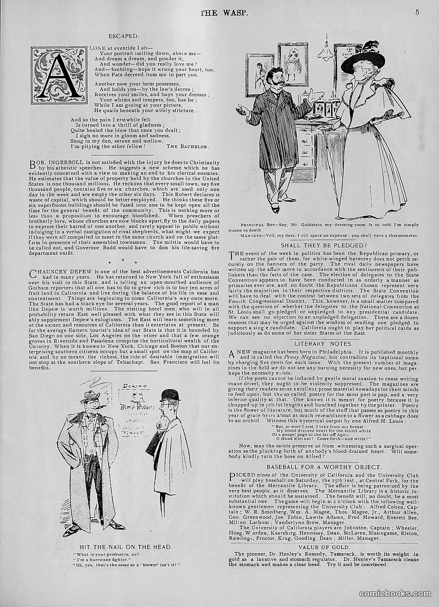 The Wasp — 1896 — page 318 of 1082