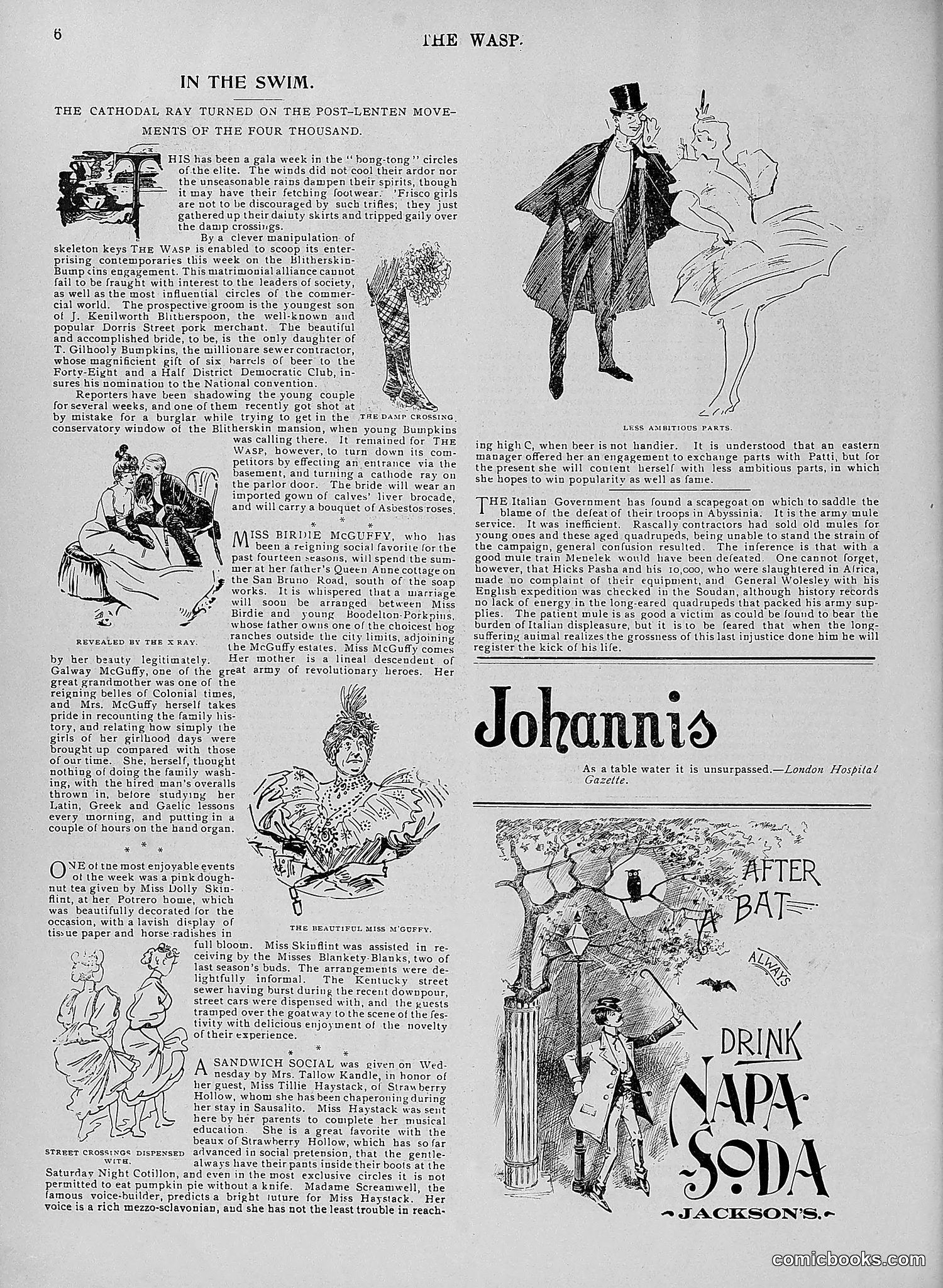 The Wasp — 1896 — page 319 of 1082