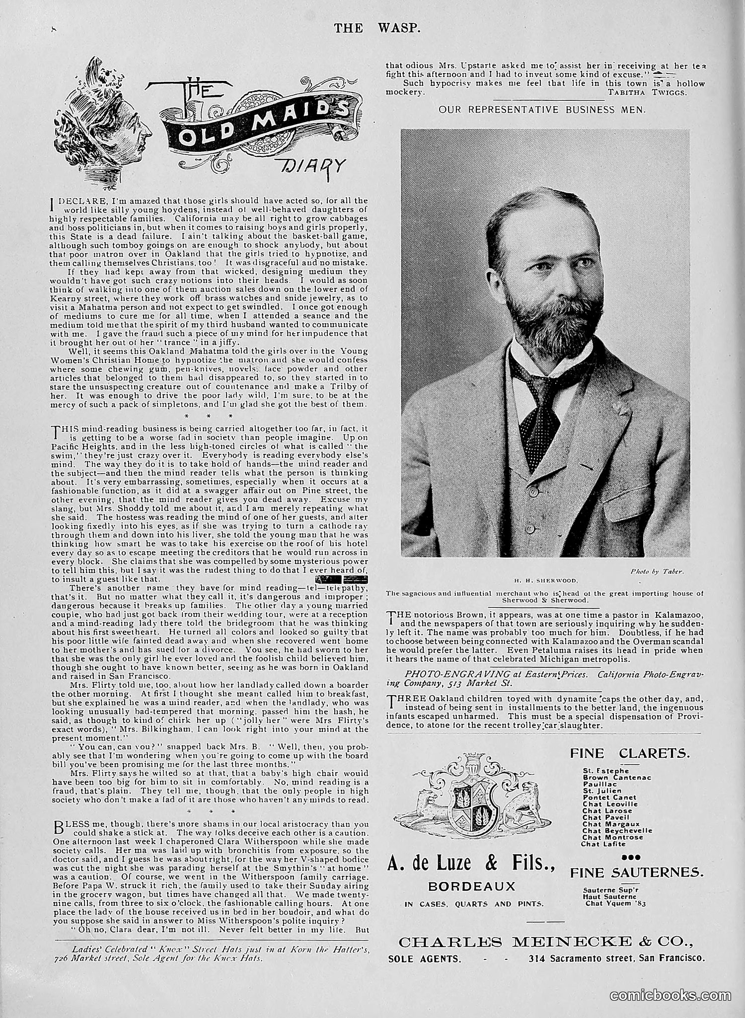 The Wasp — 1896 — page 321 of 1082