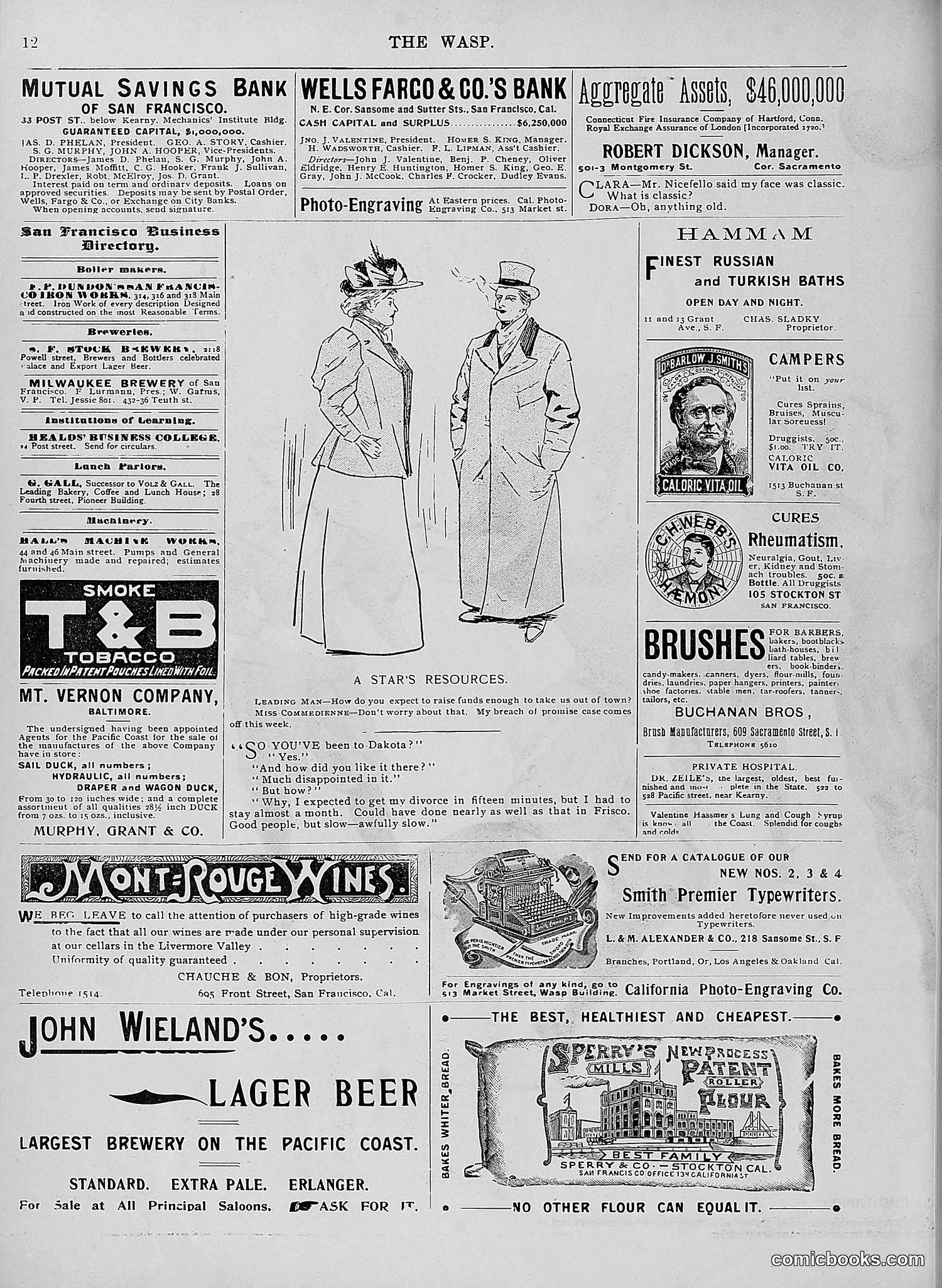 The Wasp — 1896 — page 325 of 1082