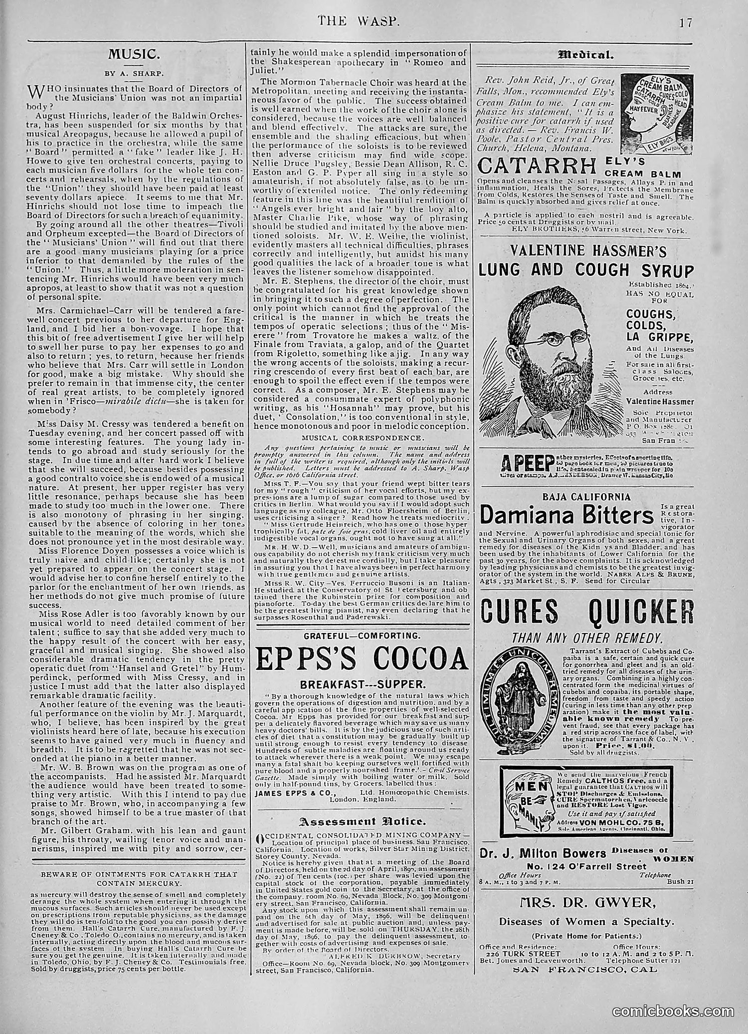 The Wasp — 1896 — page 330 of 1082