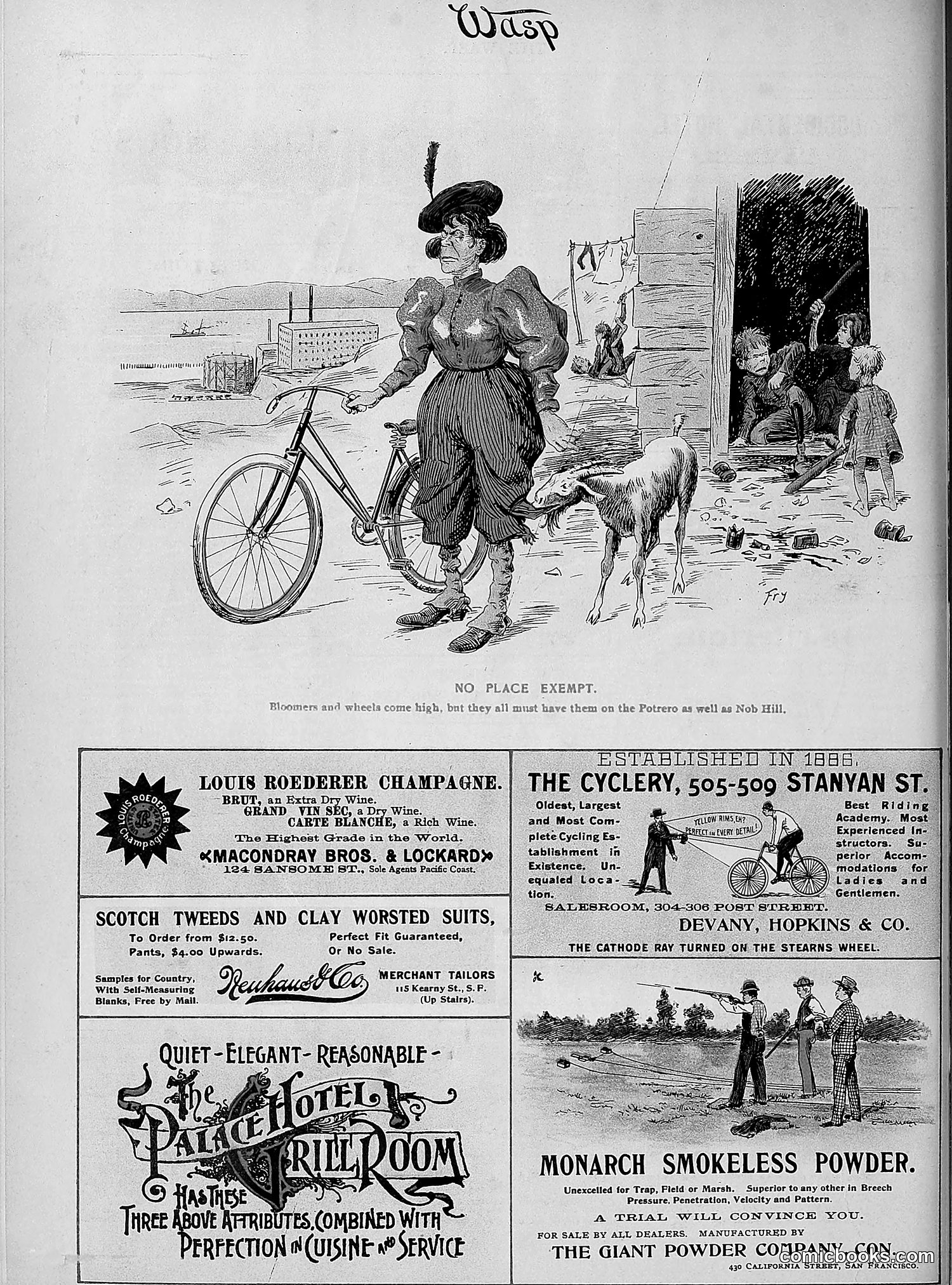 The Wasp — 1896 — page 333 of 1082