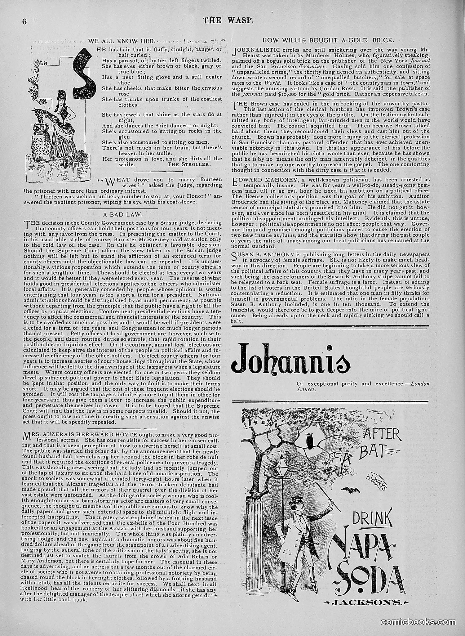 The Wasp — 1896 — page 339 of 1082