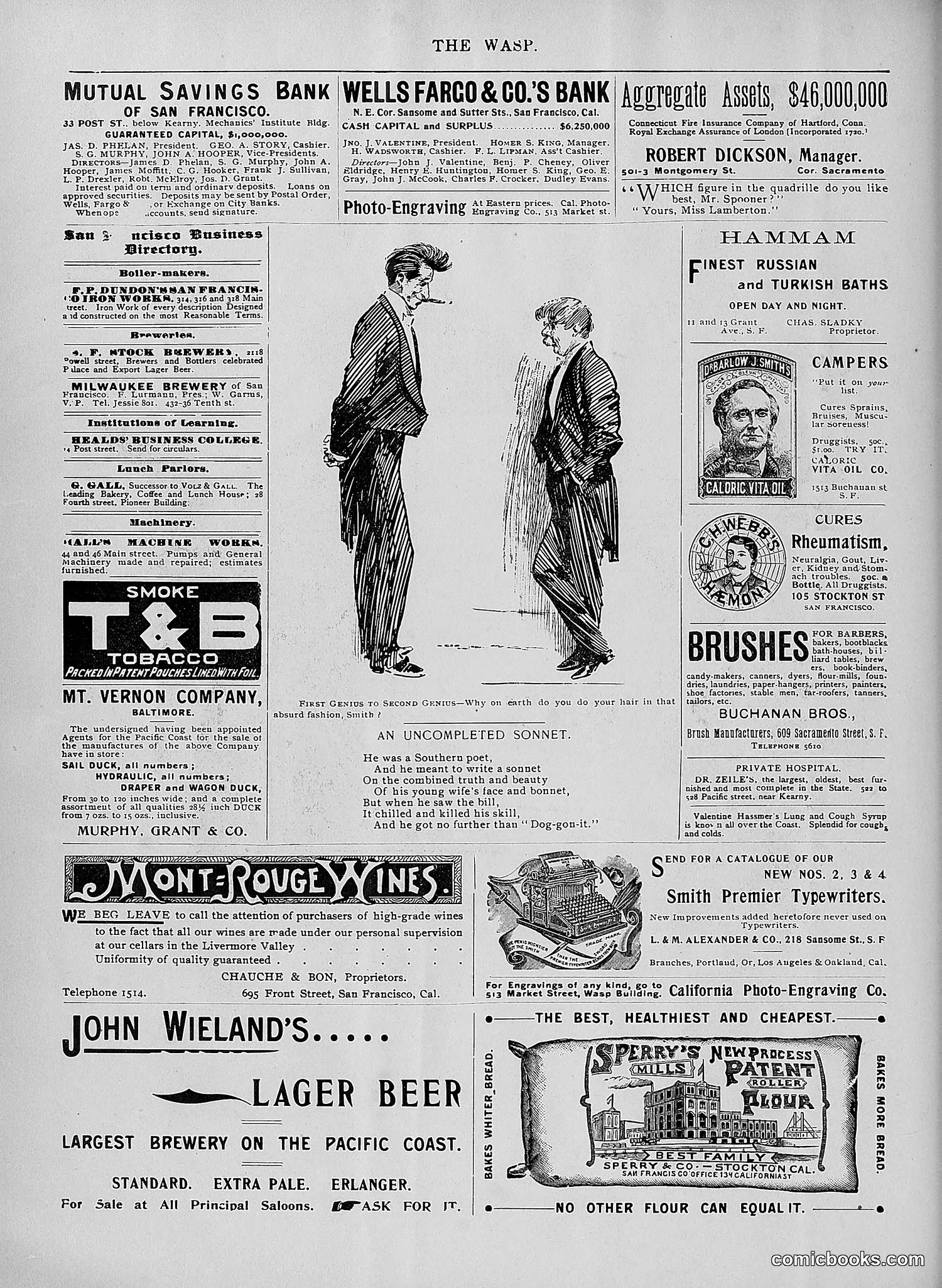 The Wasp — 1896 — page 345 of 1082