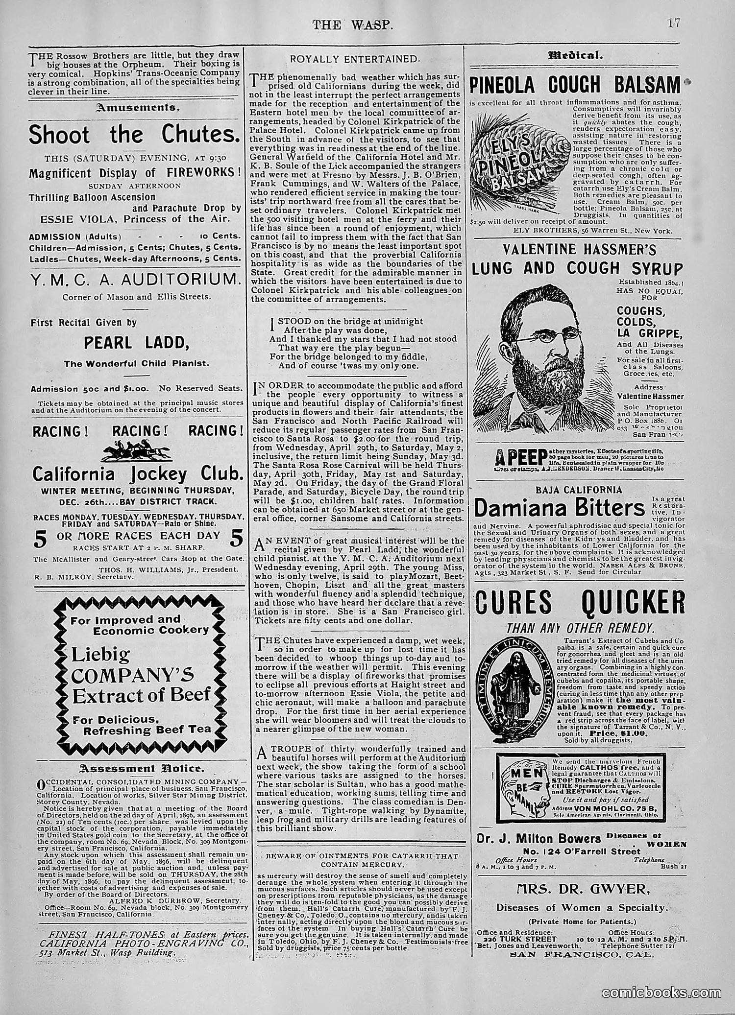 The Wasp — 1896 — page 350 of 1082