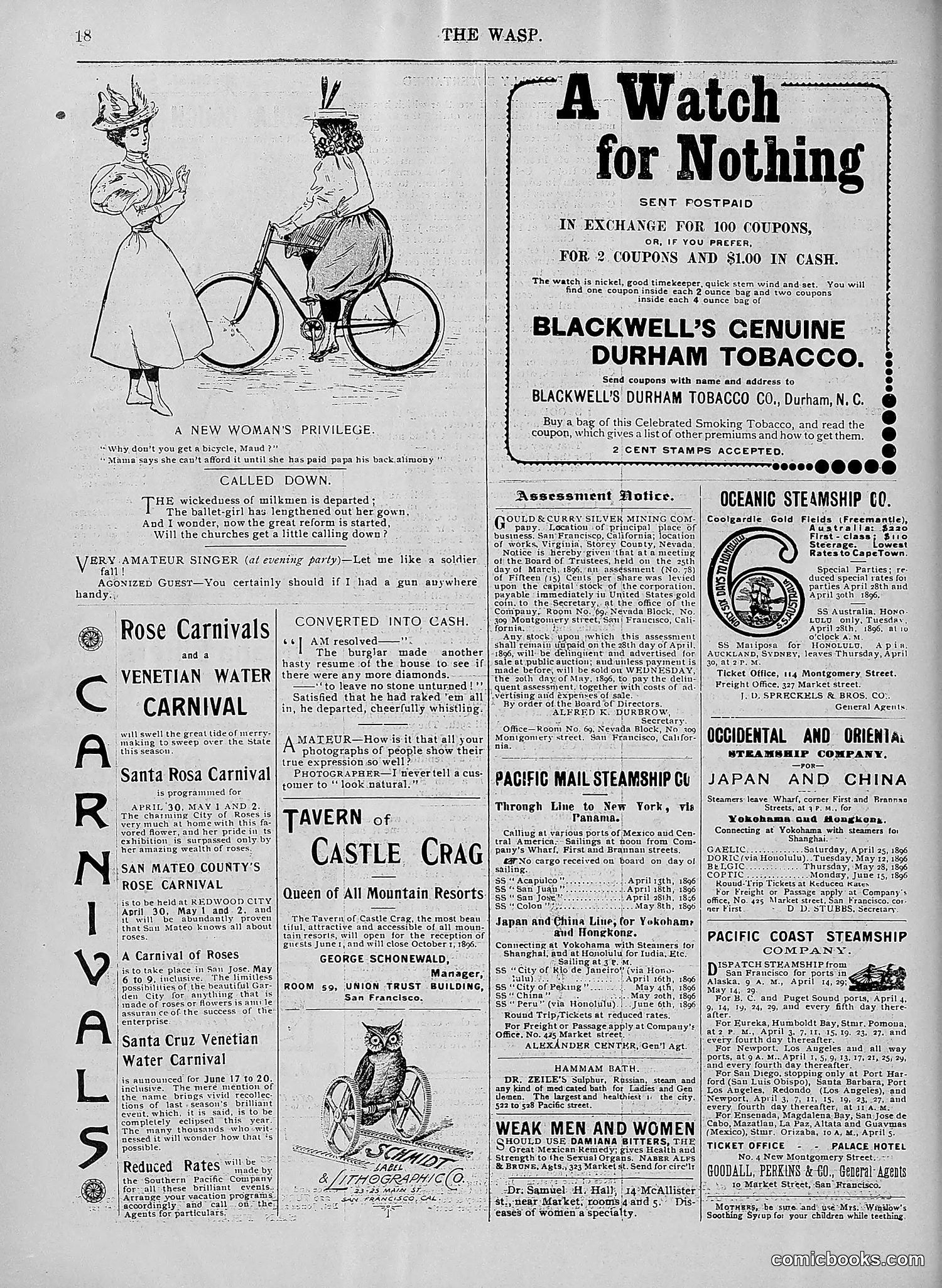 The Wasp — 1896 — page 351 of 1082