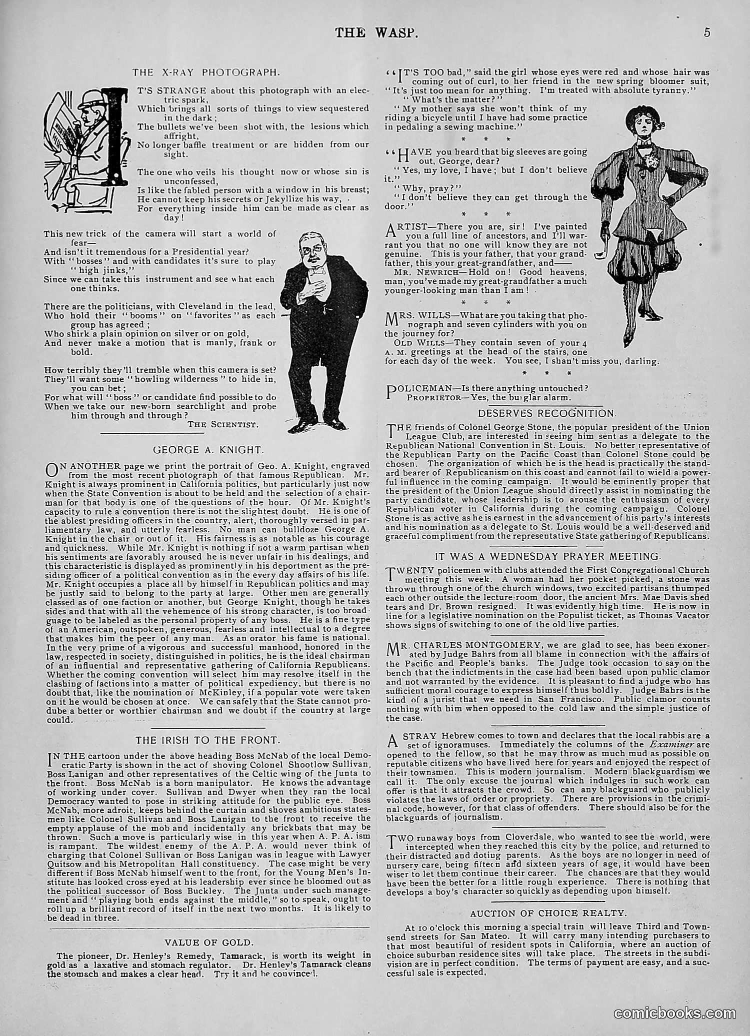 The Wasp — 1896 — page 358 of 1082