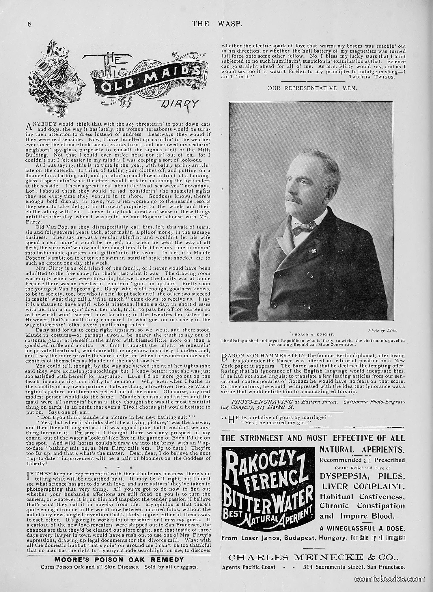 The Wasp — 1896 — page 361 of 1082