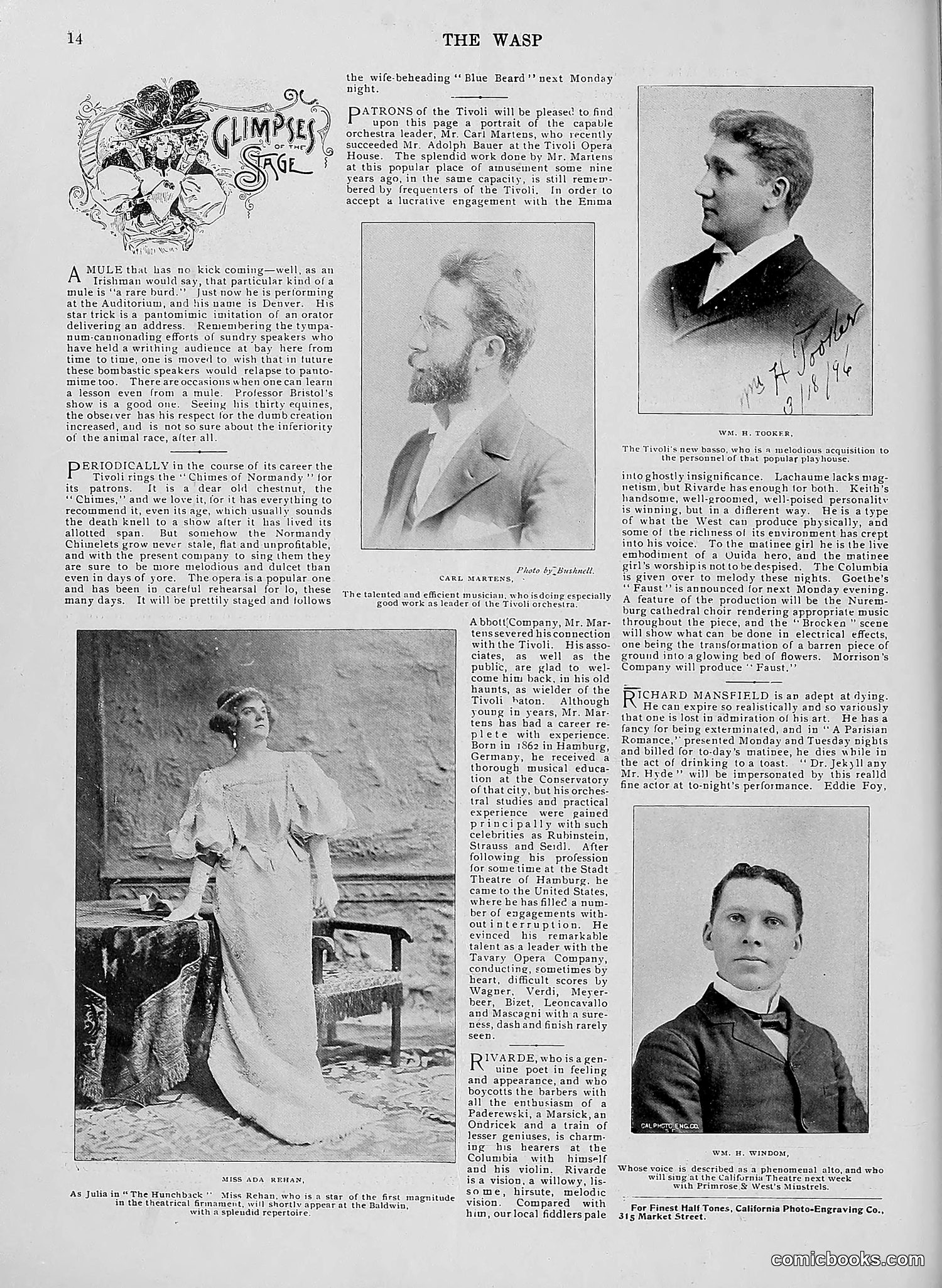 The Wasp — 1896 — page 367 of 1082