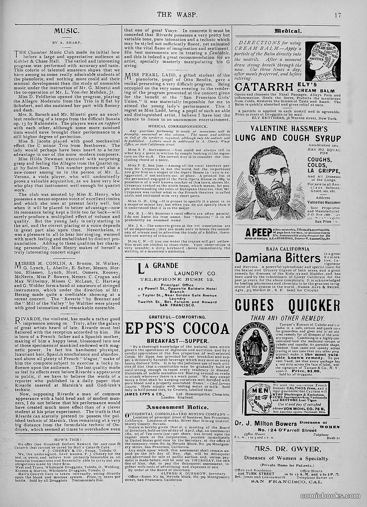 The Wasp — 1896 — page 370 of 1082