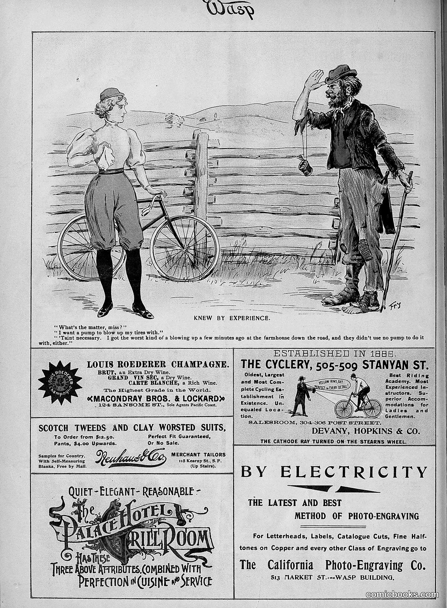 The Wasp — 1896 — page 373 of 1082