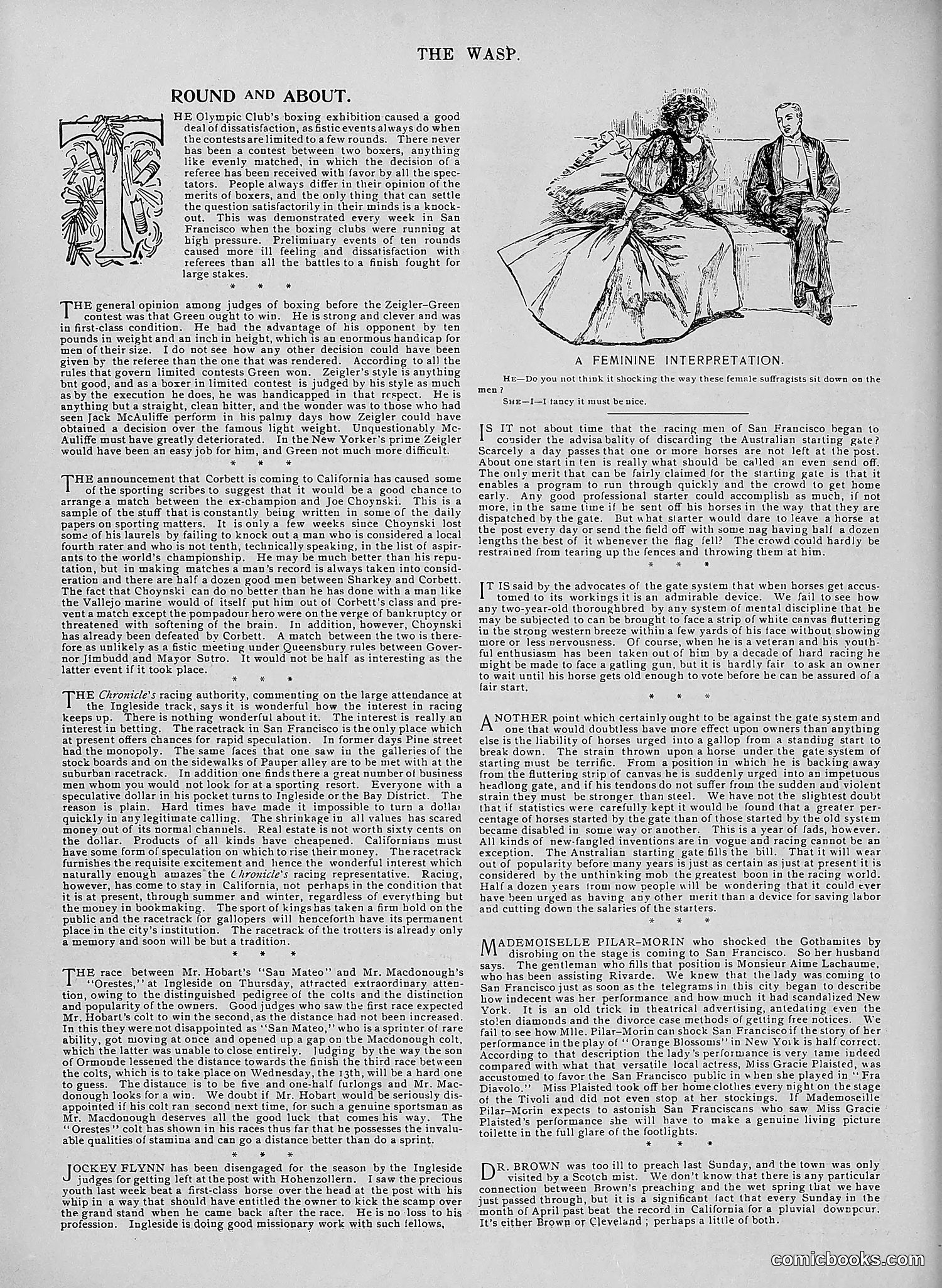 The Wasp — 1896 — page 377 of 1082