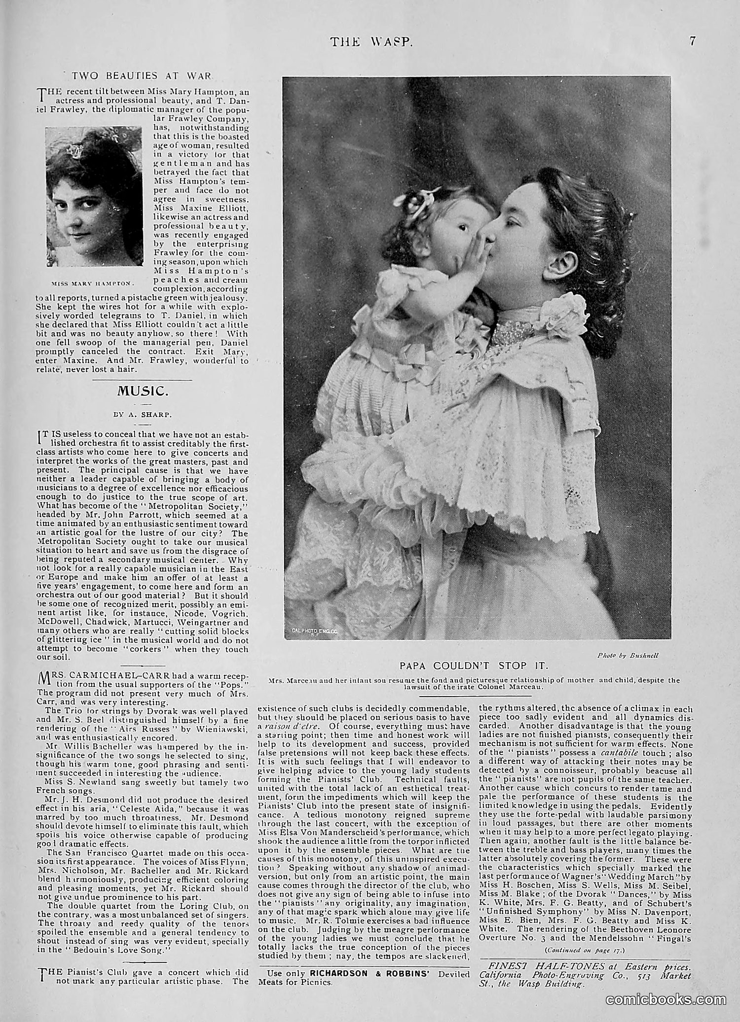 The Wasp — 1896 — page 380 of 1082