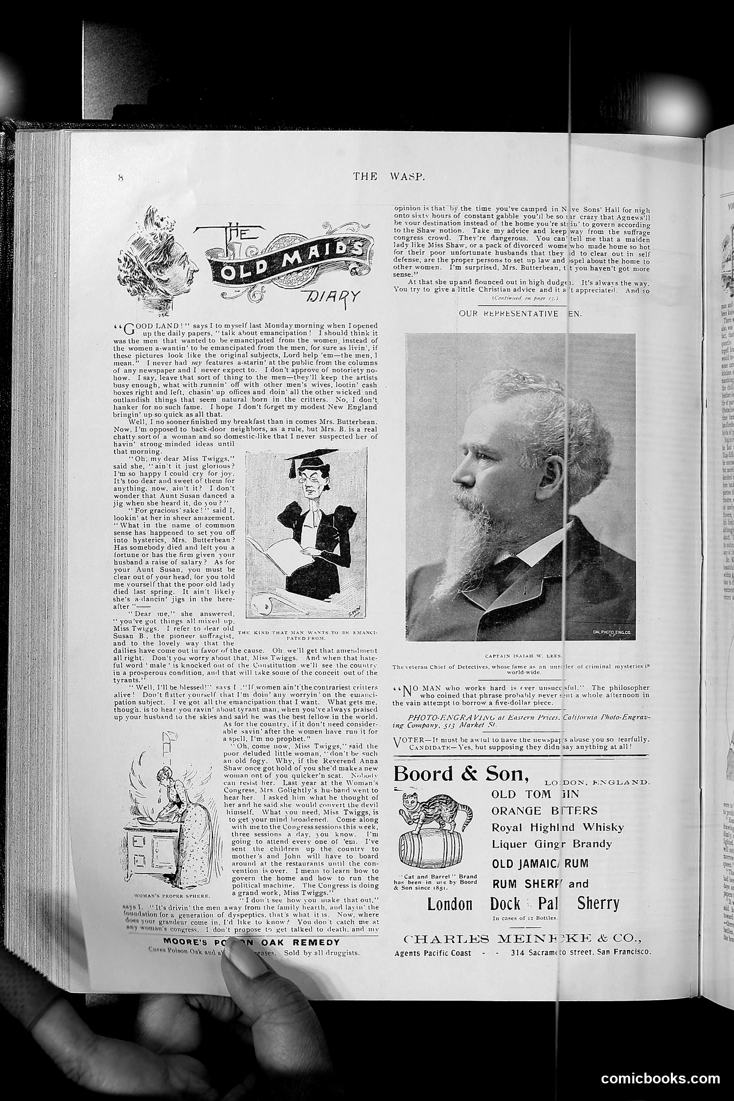 The Wasp — 1896 — page 381 of 1082