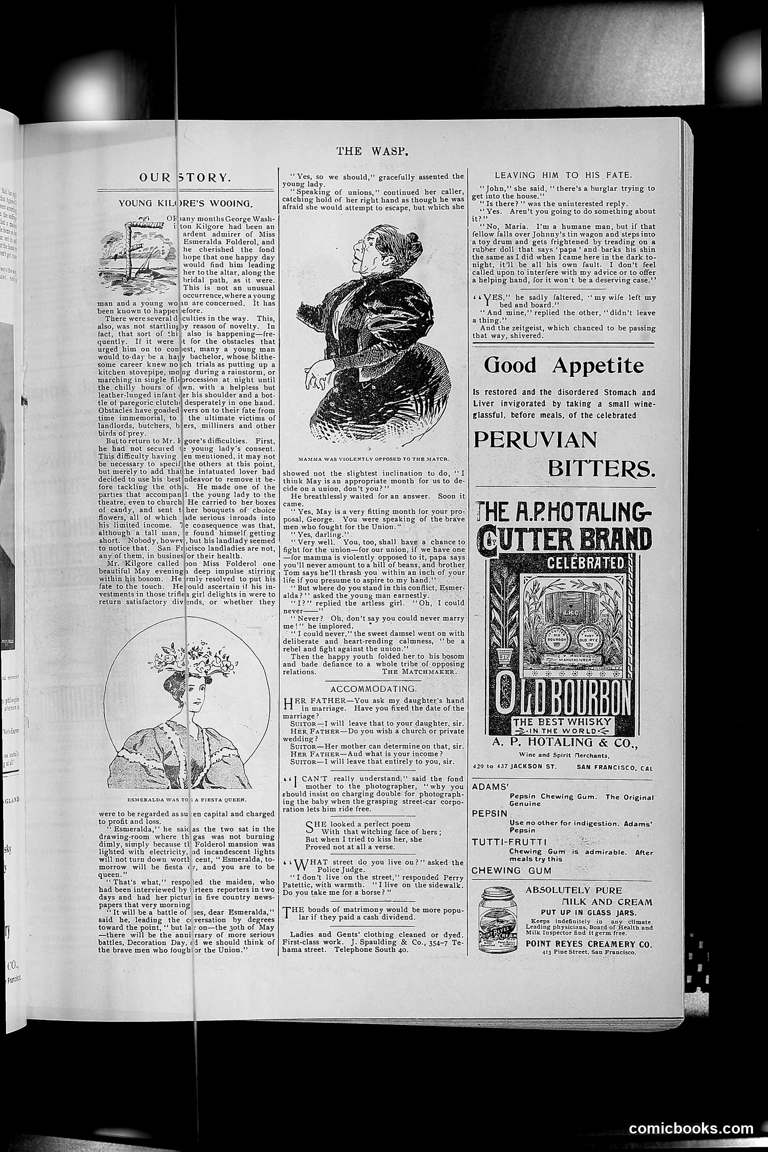 The Wasp — 1896 — page 382 of 1082