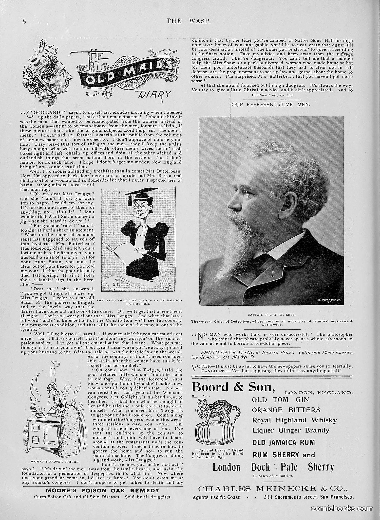 The Wasp — 1896 — page 383 of 1082