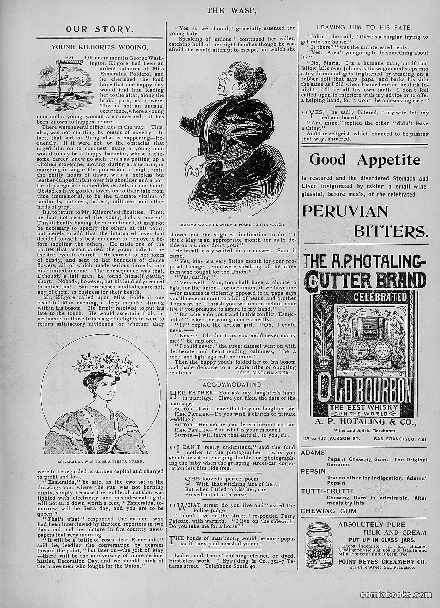 The Wasp — 1896 — page 384 of 1082