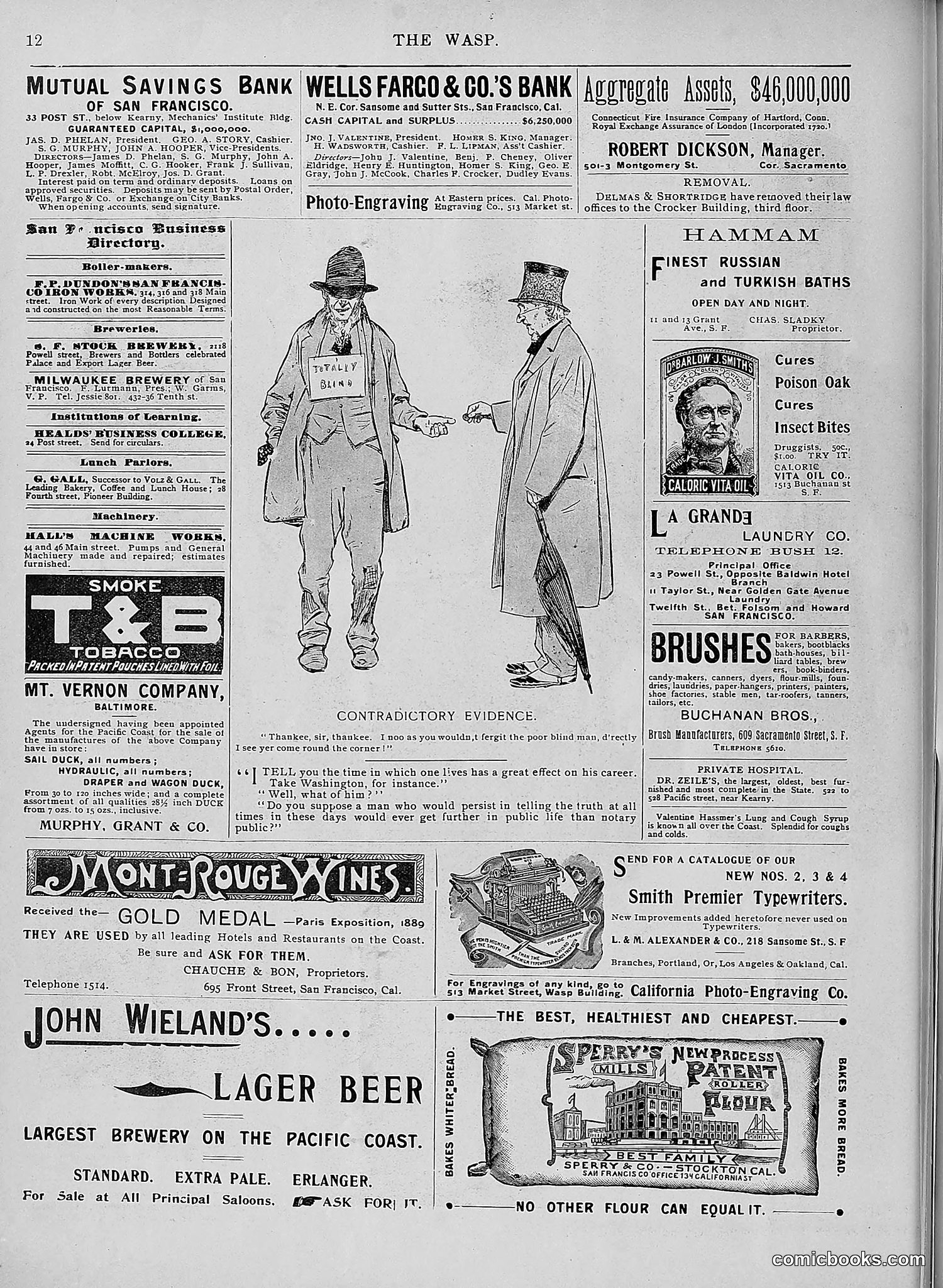 The Wasp — 1896 — page 387 of 1082