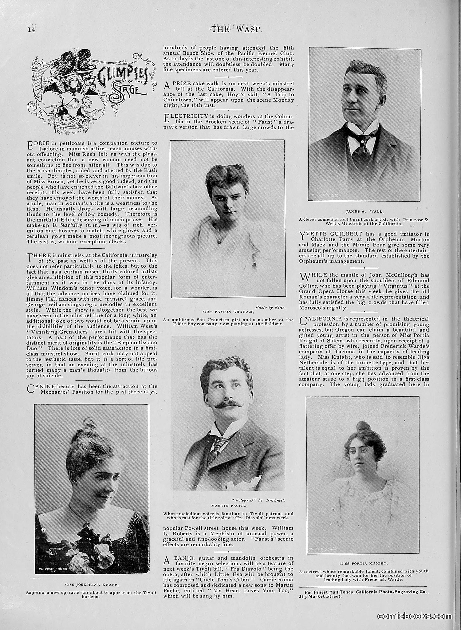 The Wasp — 1896 — page 389 of 1082