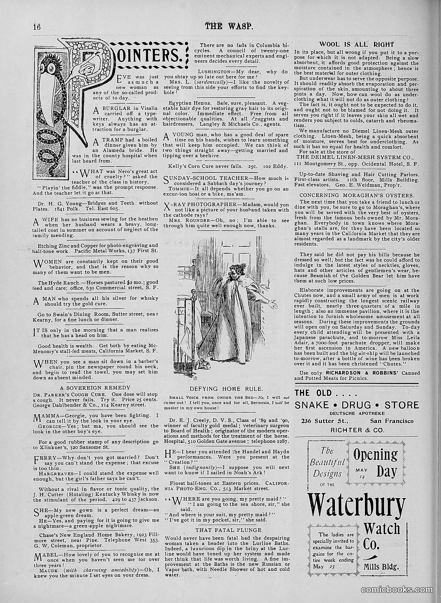The Wasp — 1896 — page 391 of 1082