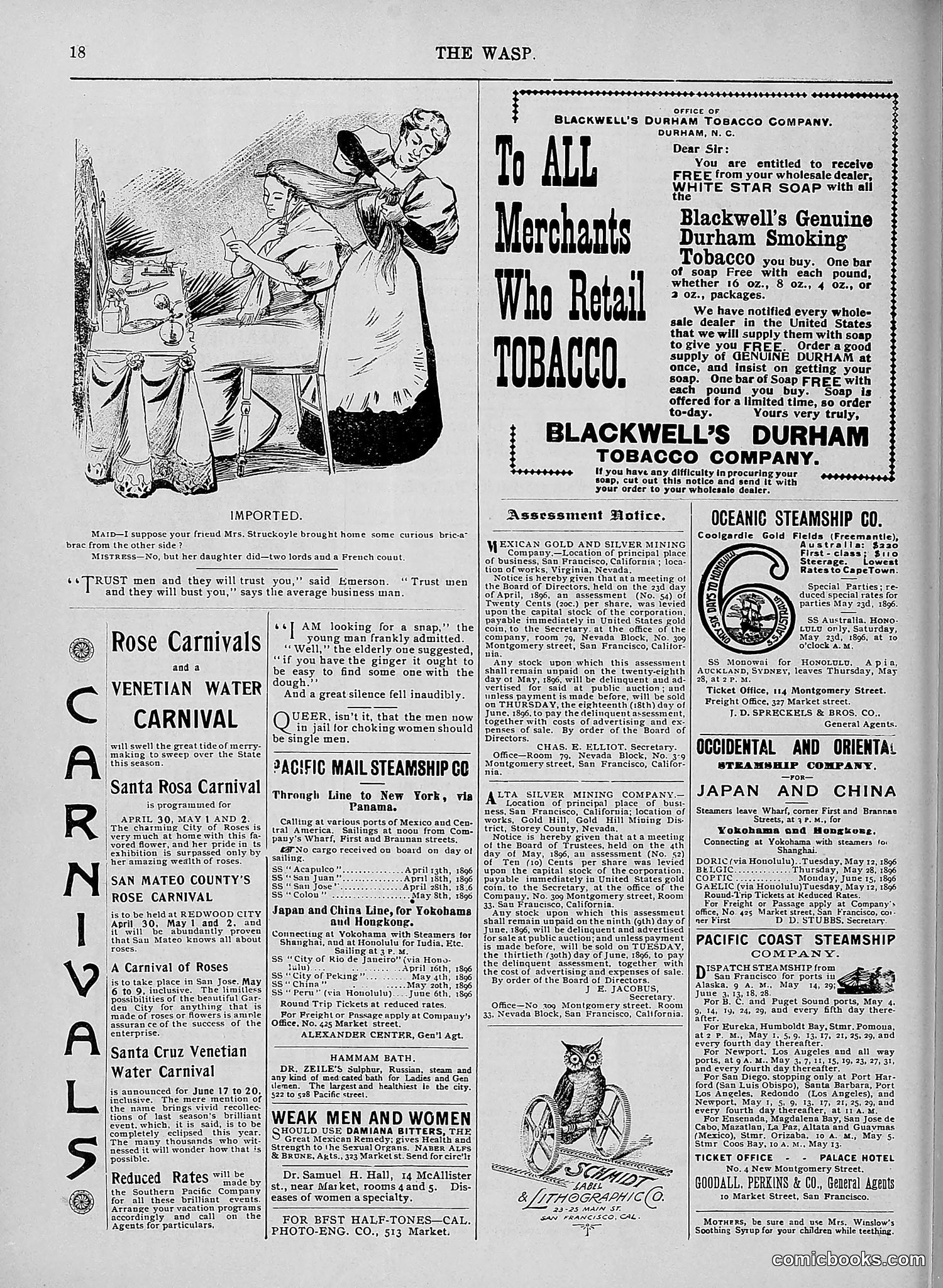 The Wasp — 1896 — page 393 of 1082