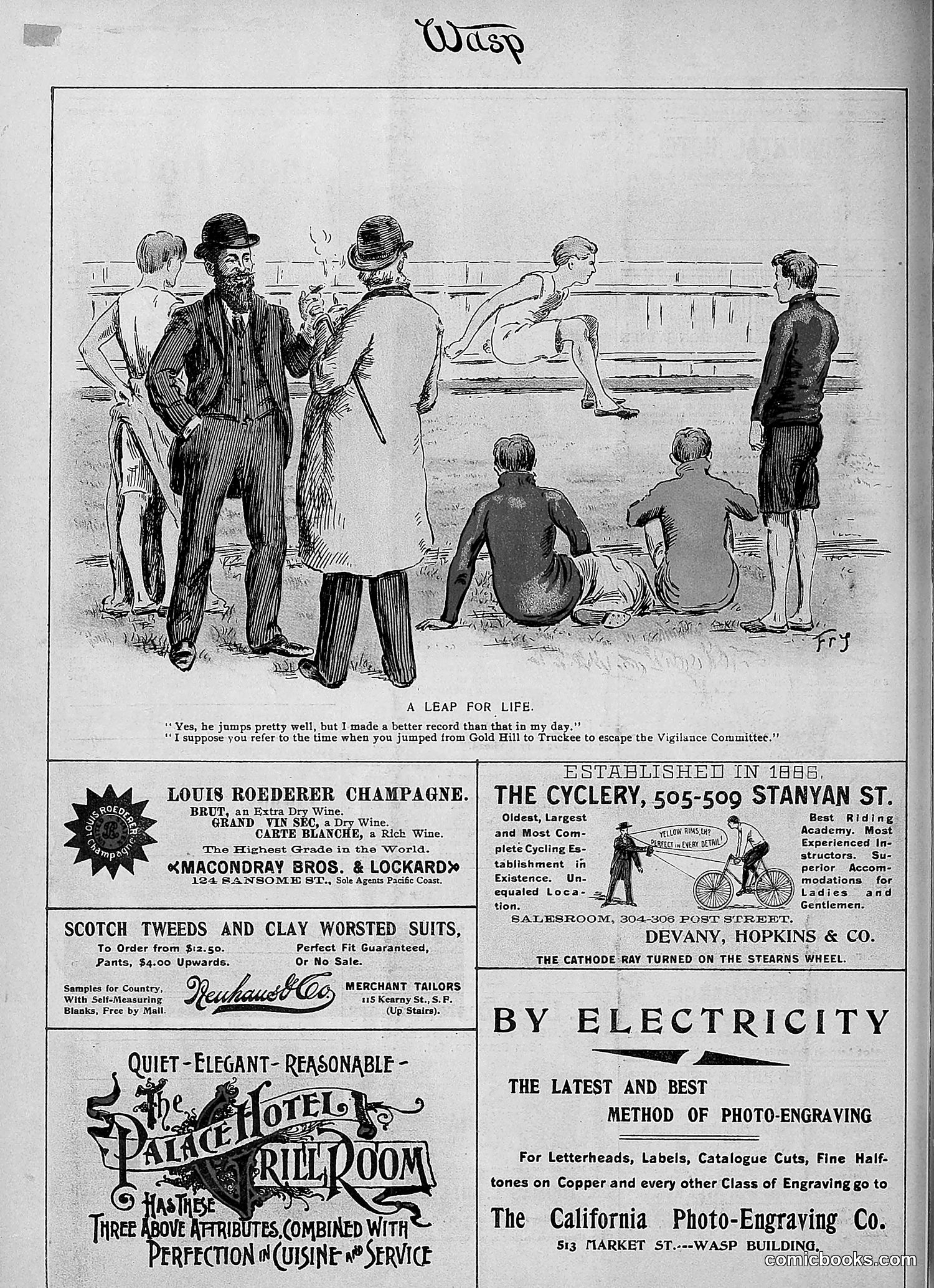The Wasp — 1896 — page 395 of 1082