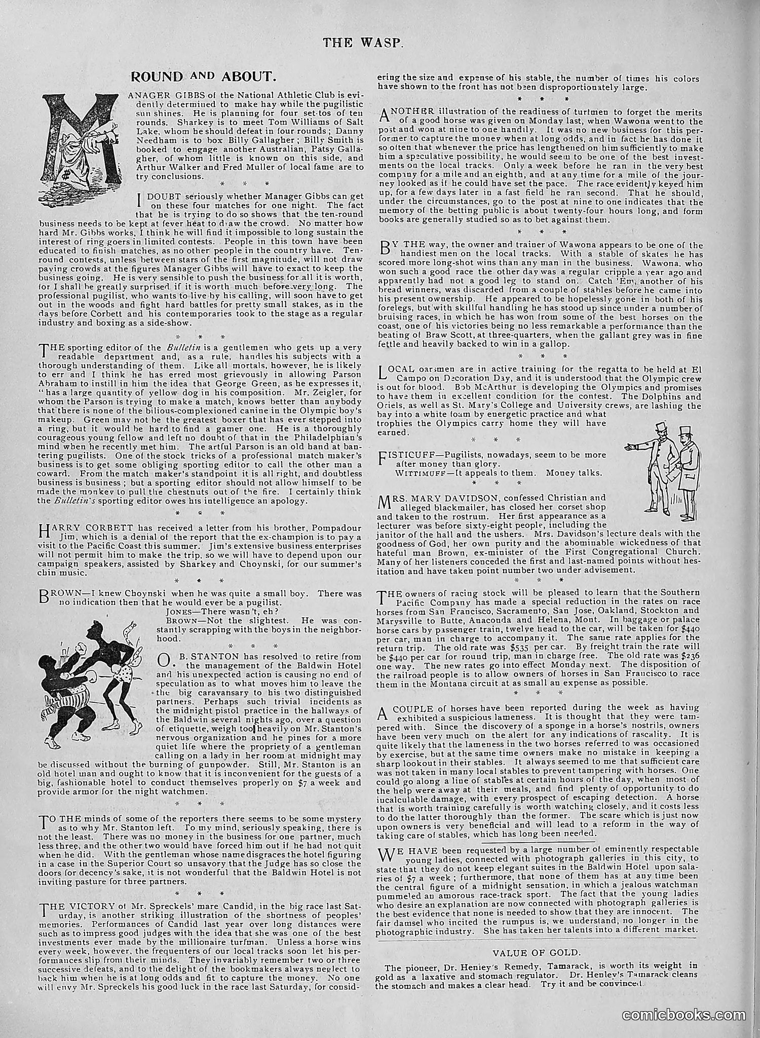The Wasp — 1896 — page 399 of 1082