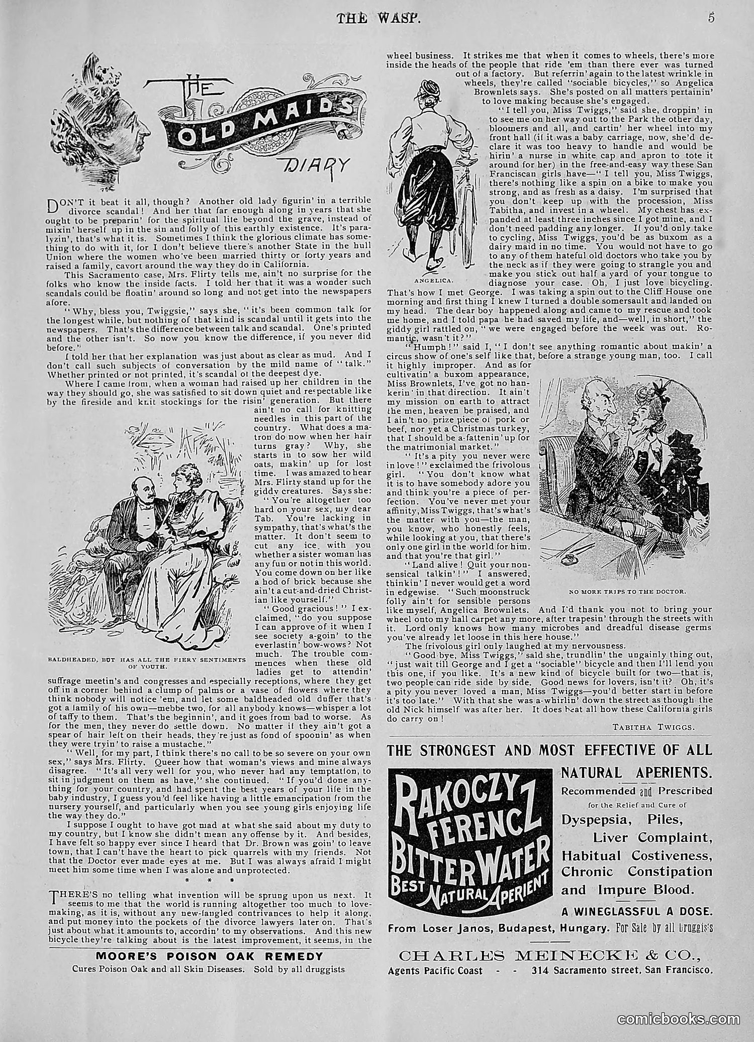 The Wasp — 1896 — page 400 of 1082