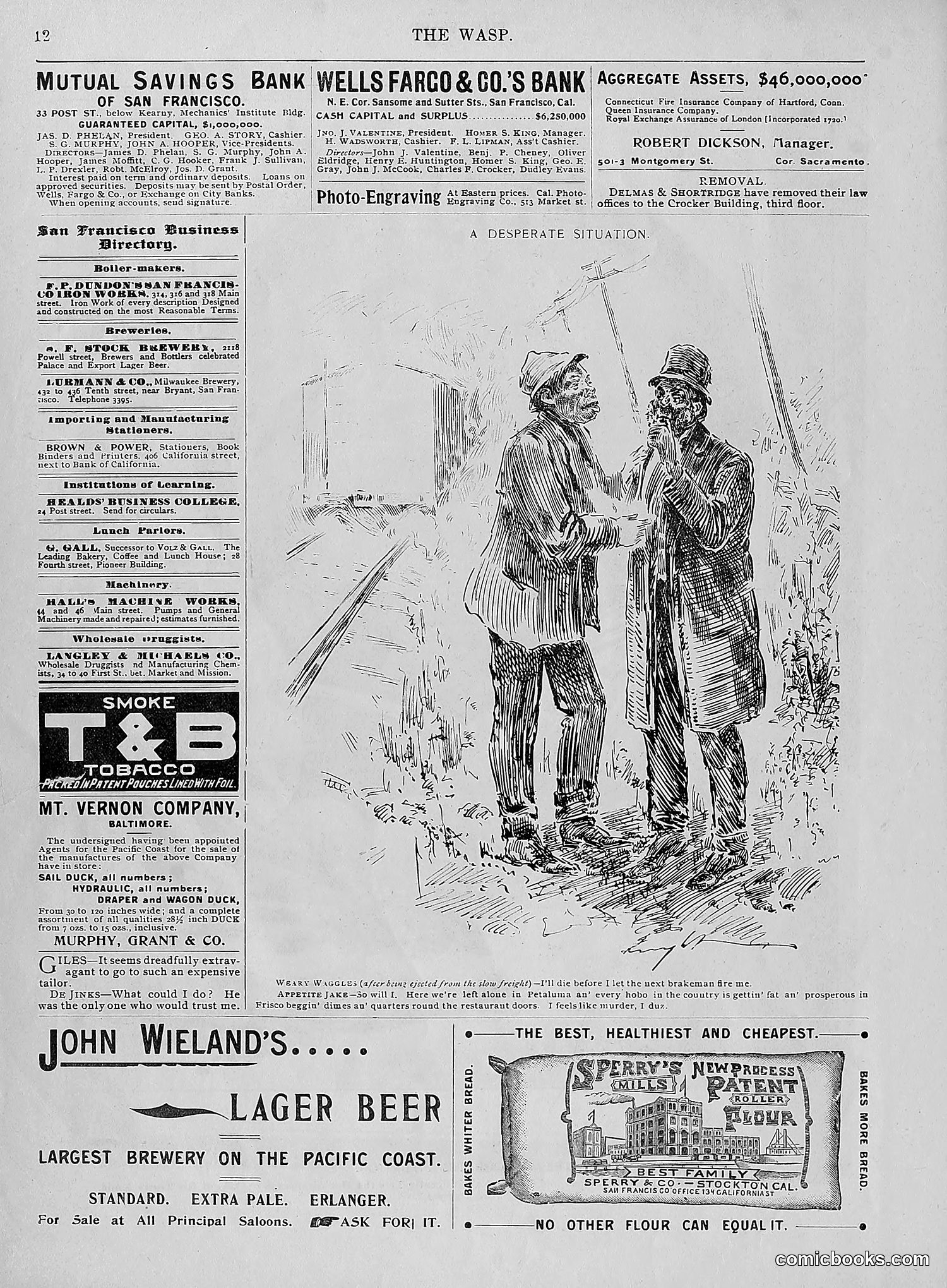 The Wasp — 1896 — page 41 of 1082