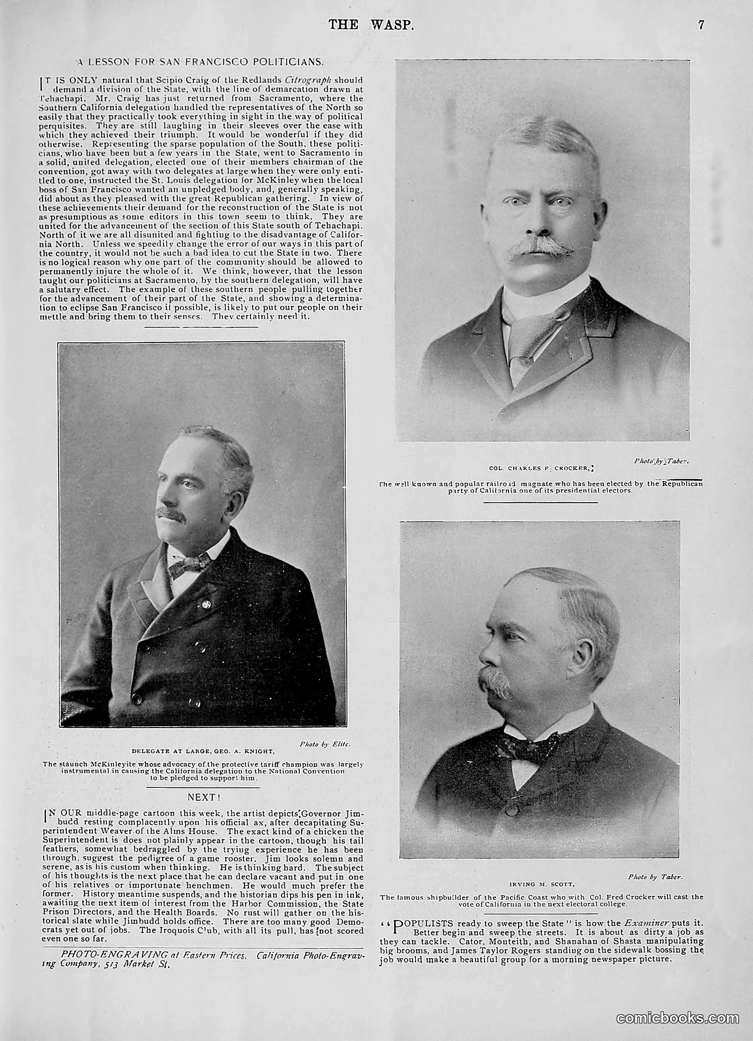 The Wasp — 1896 — page 402 of 1082