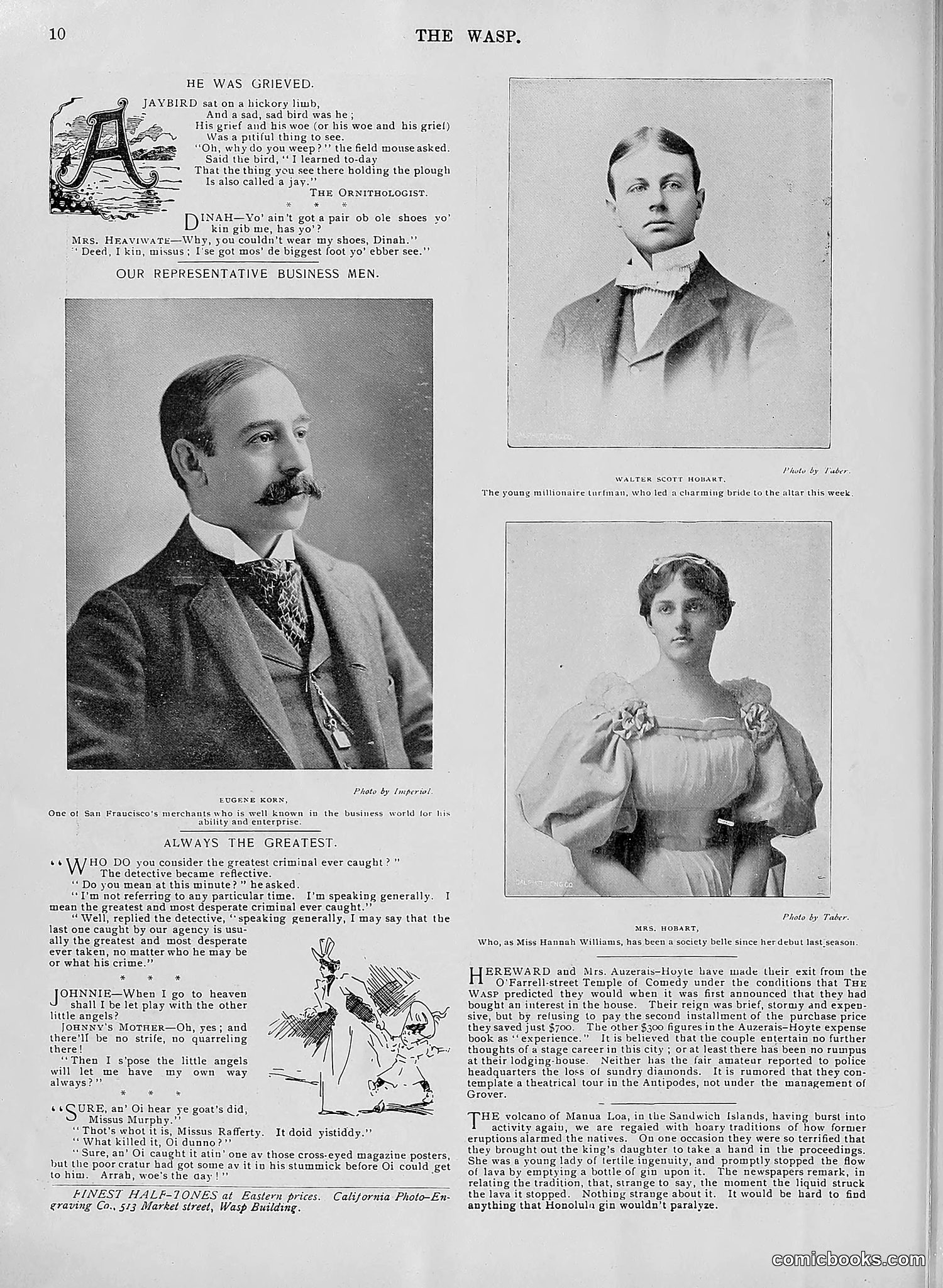 The Wasp — 1896 — page 405 of 1082