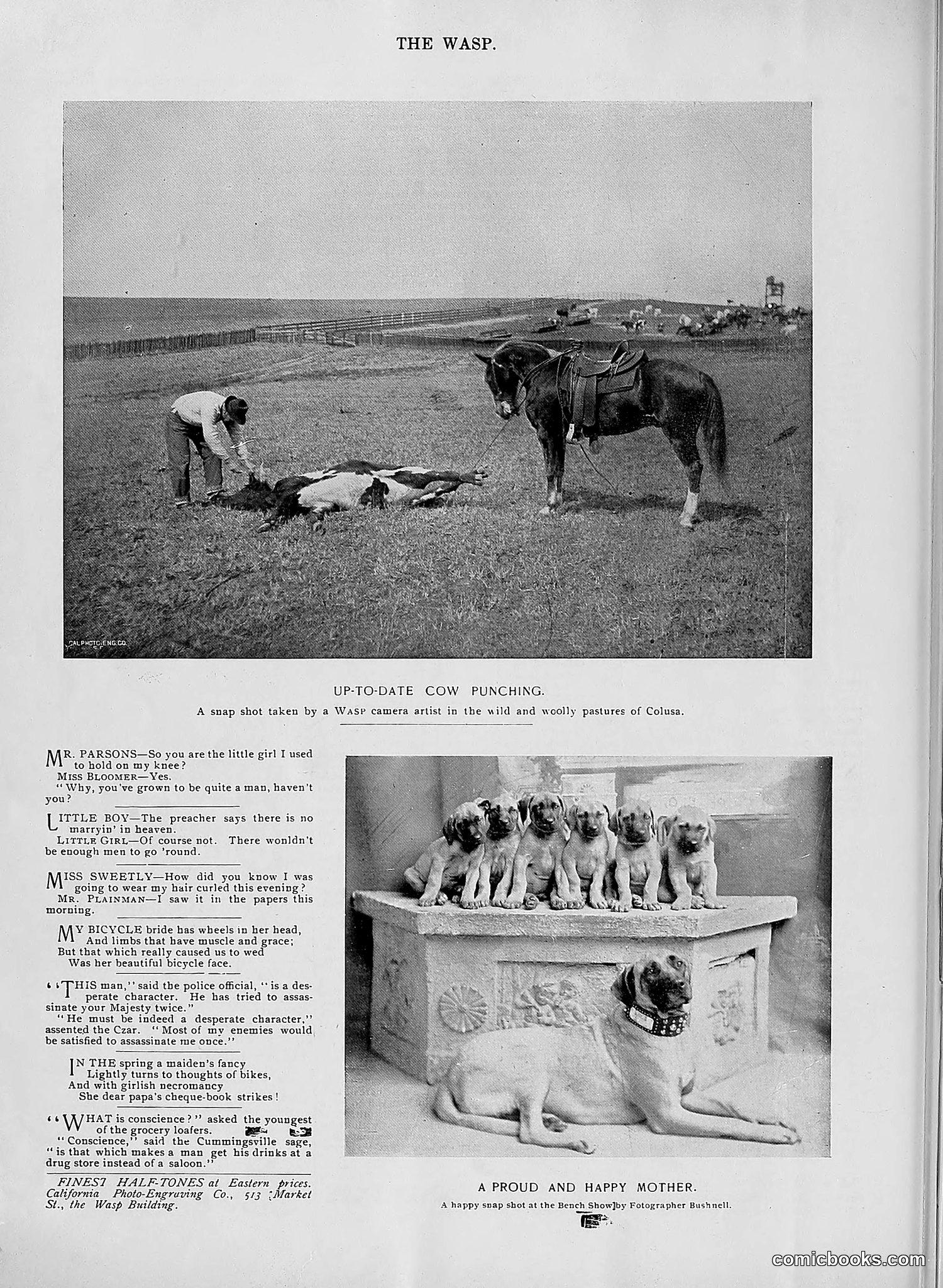 The Wasp — 1896 — page 407 of 1082