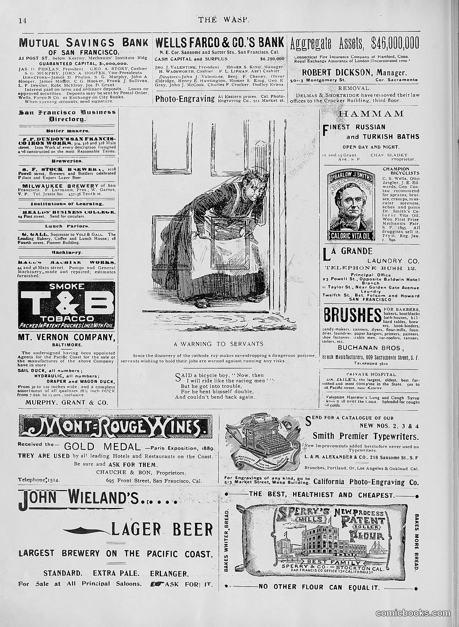 The Wasp — 1896 — page 409 of 1082