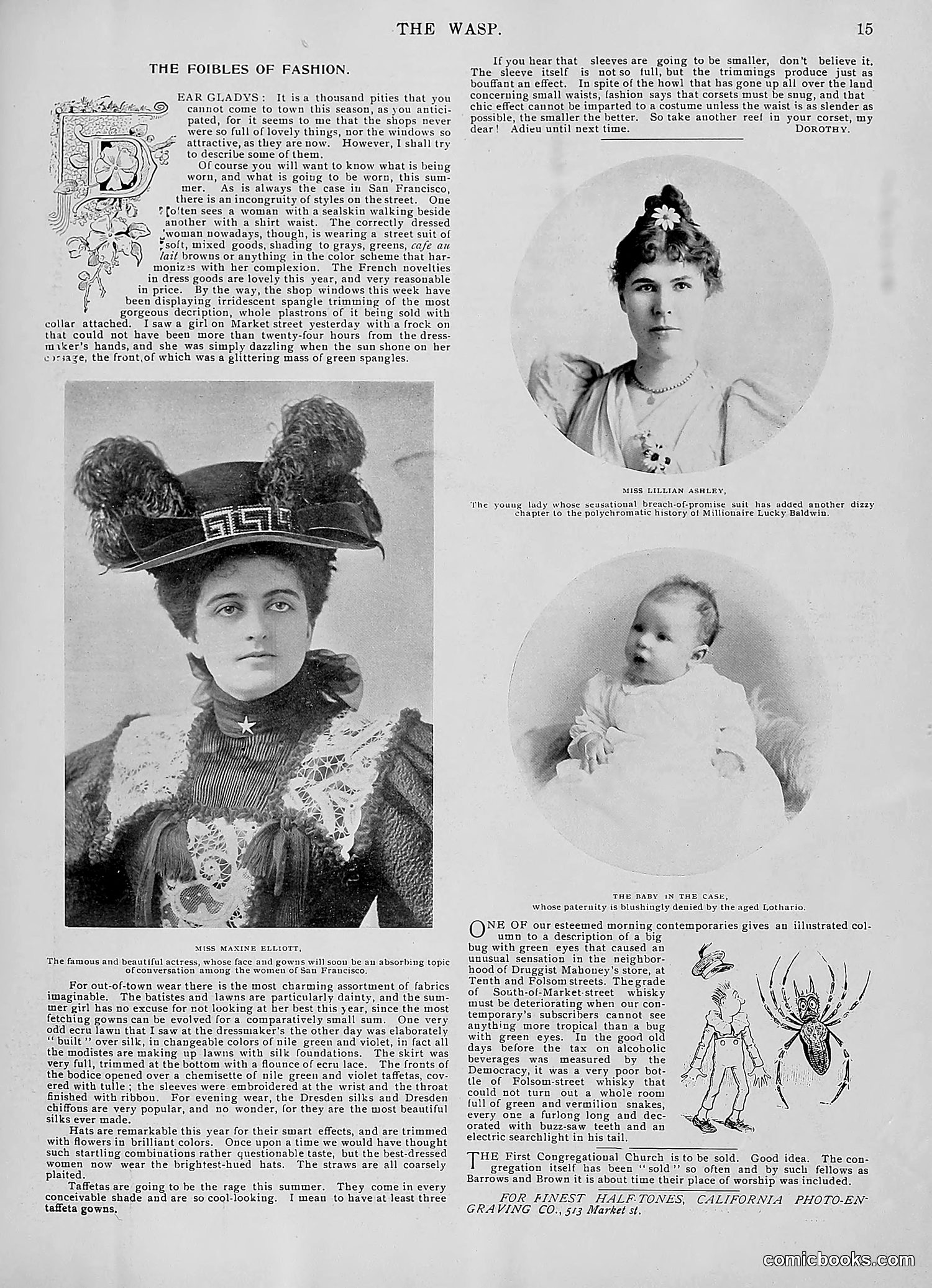 The Wasp — 1896 — page 410 of 1082
