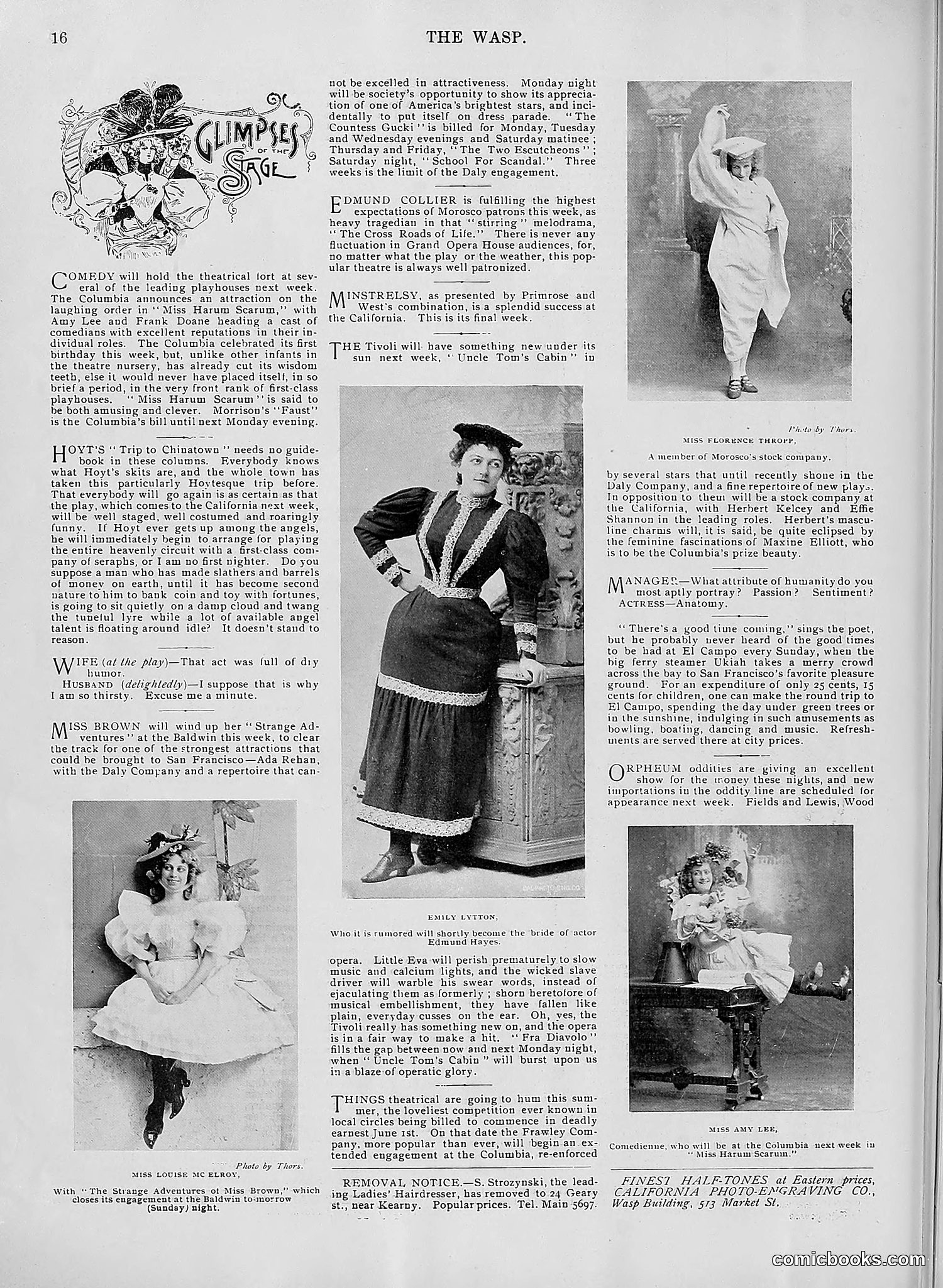 The Wasp — 1896 — page 411 of 1082