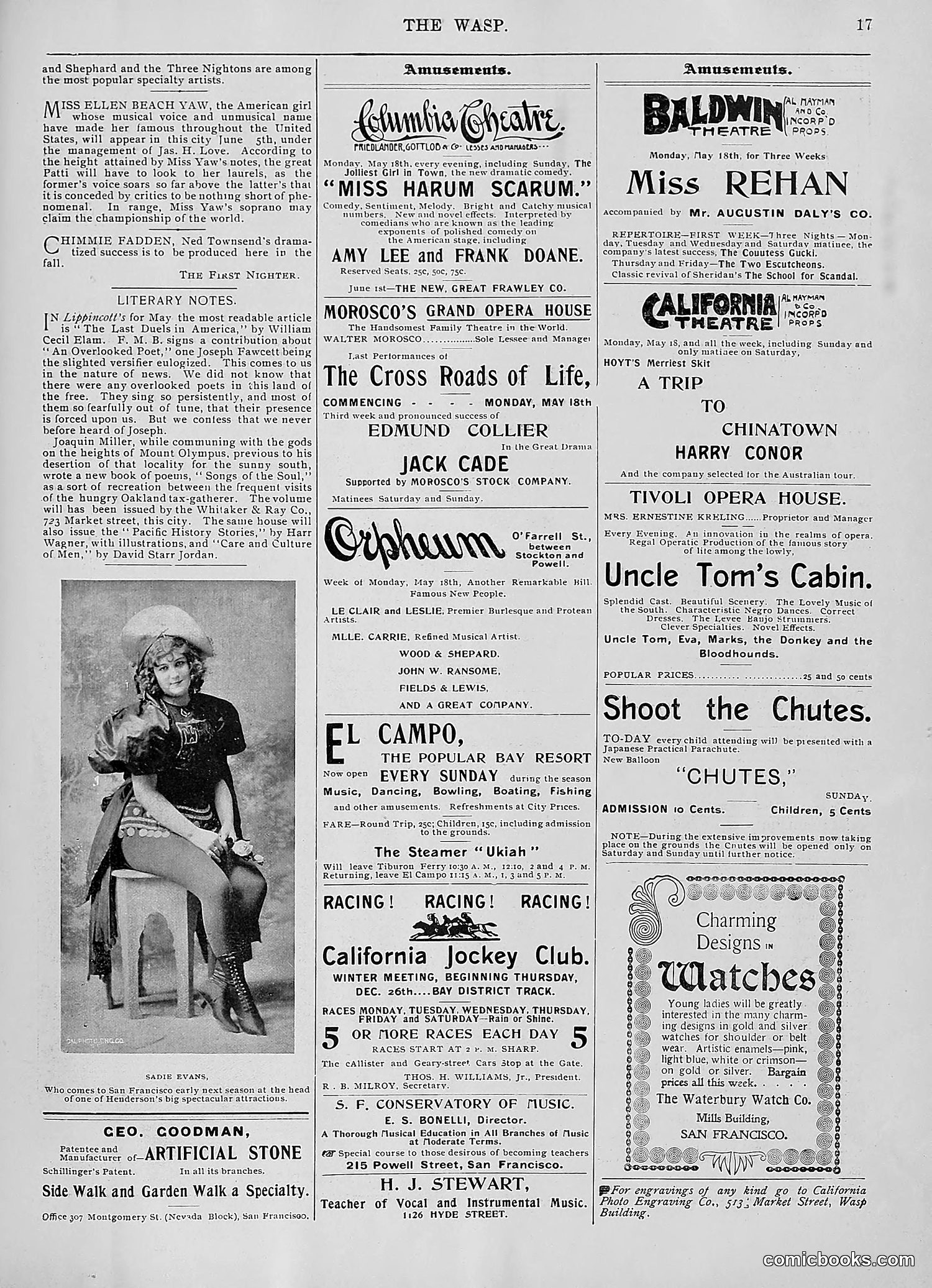 The Wasp — 1896 — page 412 of 1082