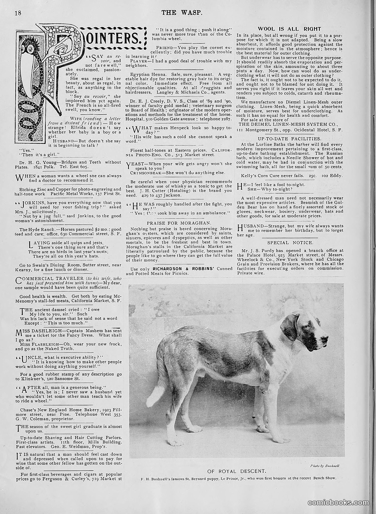 The Wasp — 1896 — page 413 of 1082