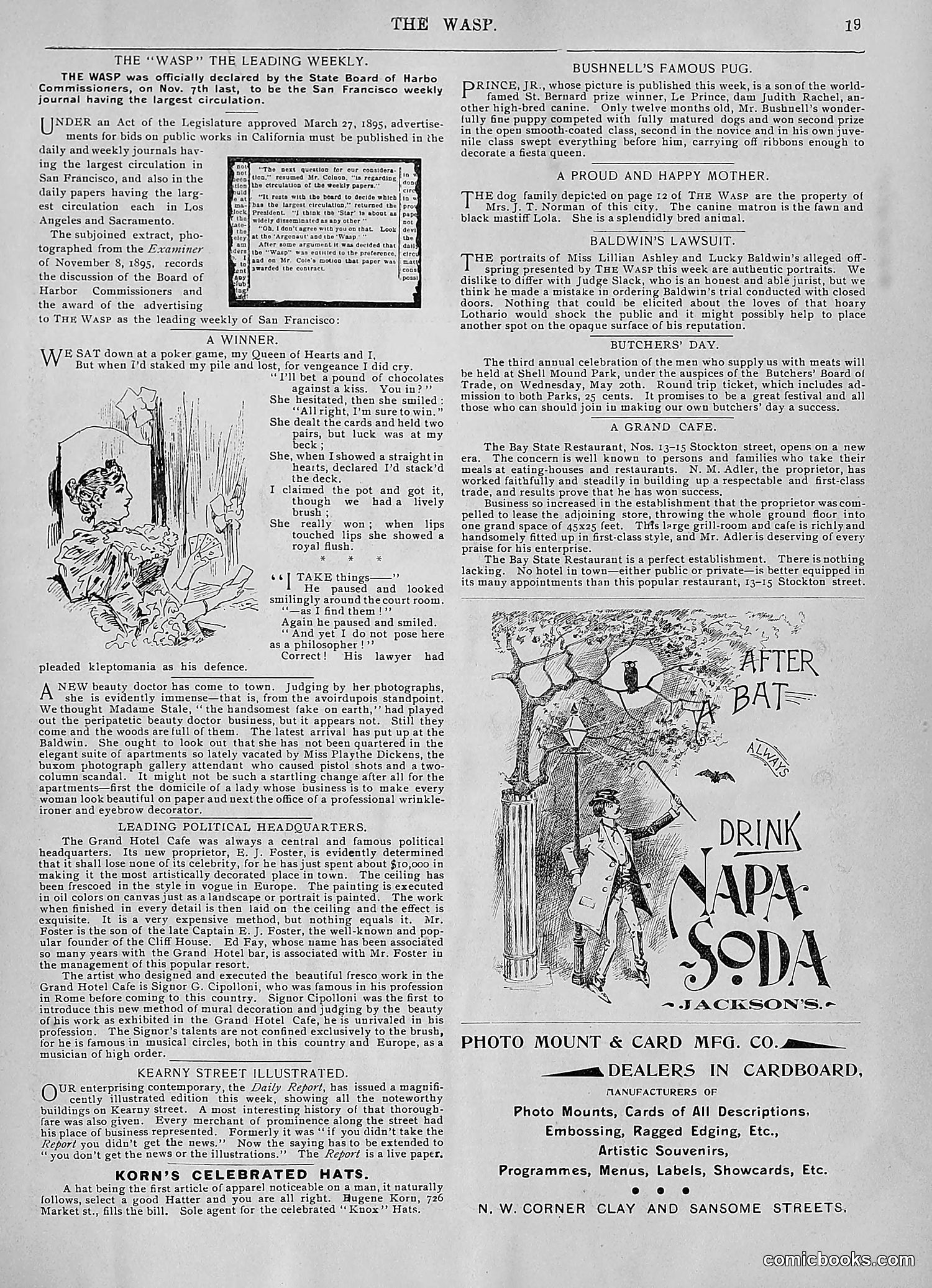 The Wasp — 1896 — page 414 of 1082