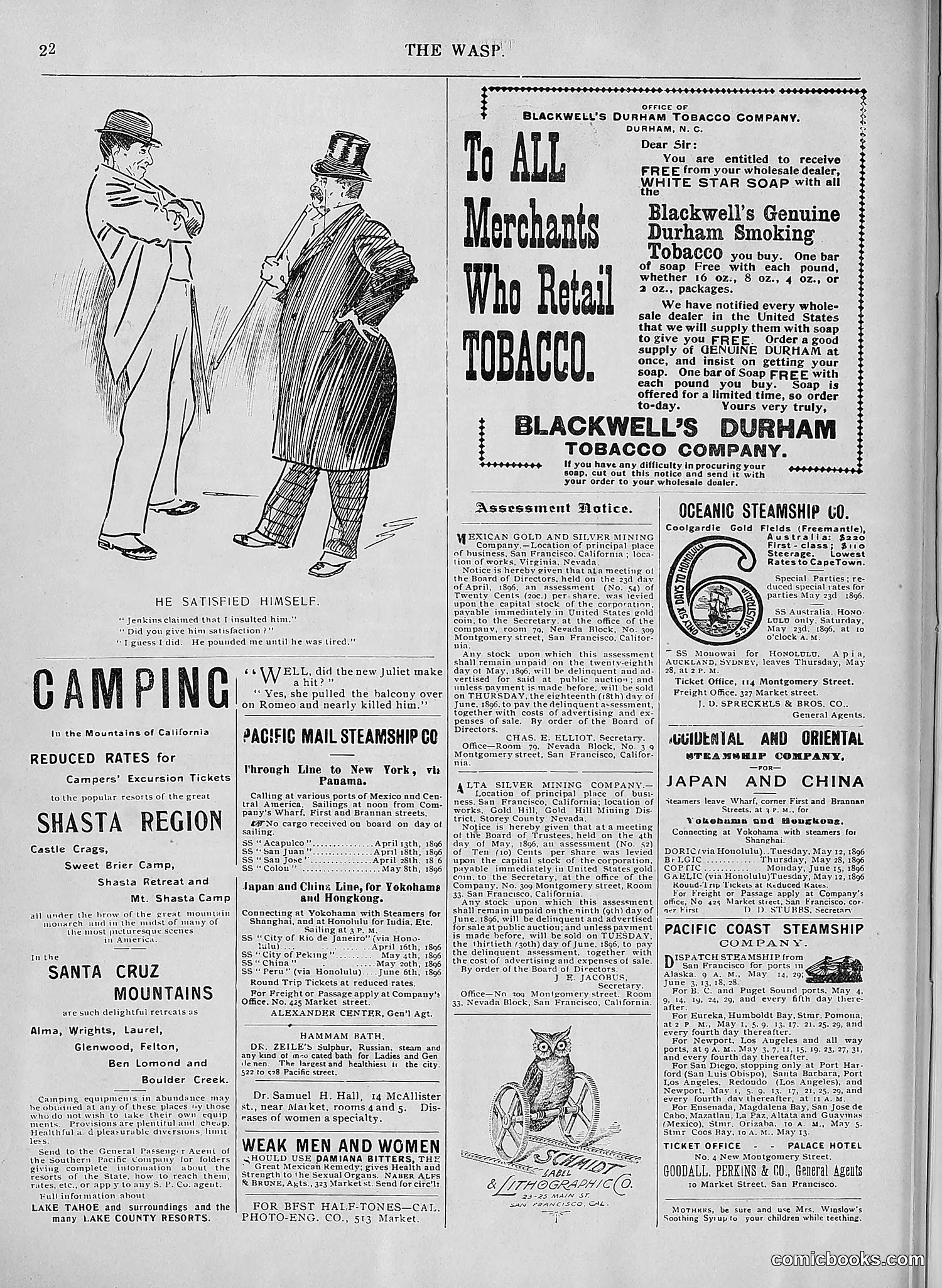 The Wasp — 1896 — page 417 of 1082