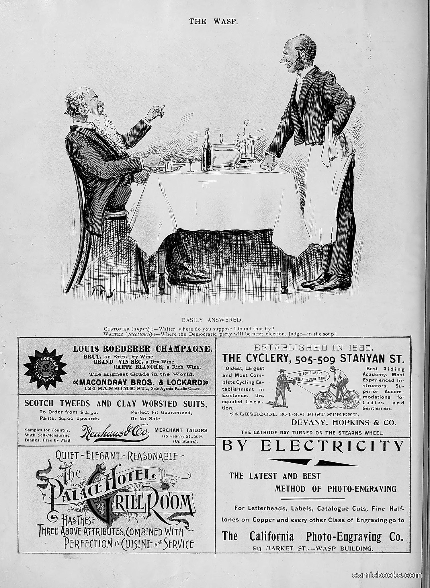 The Wasp — 1896 — page 419 of 1082
